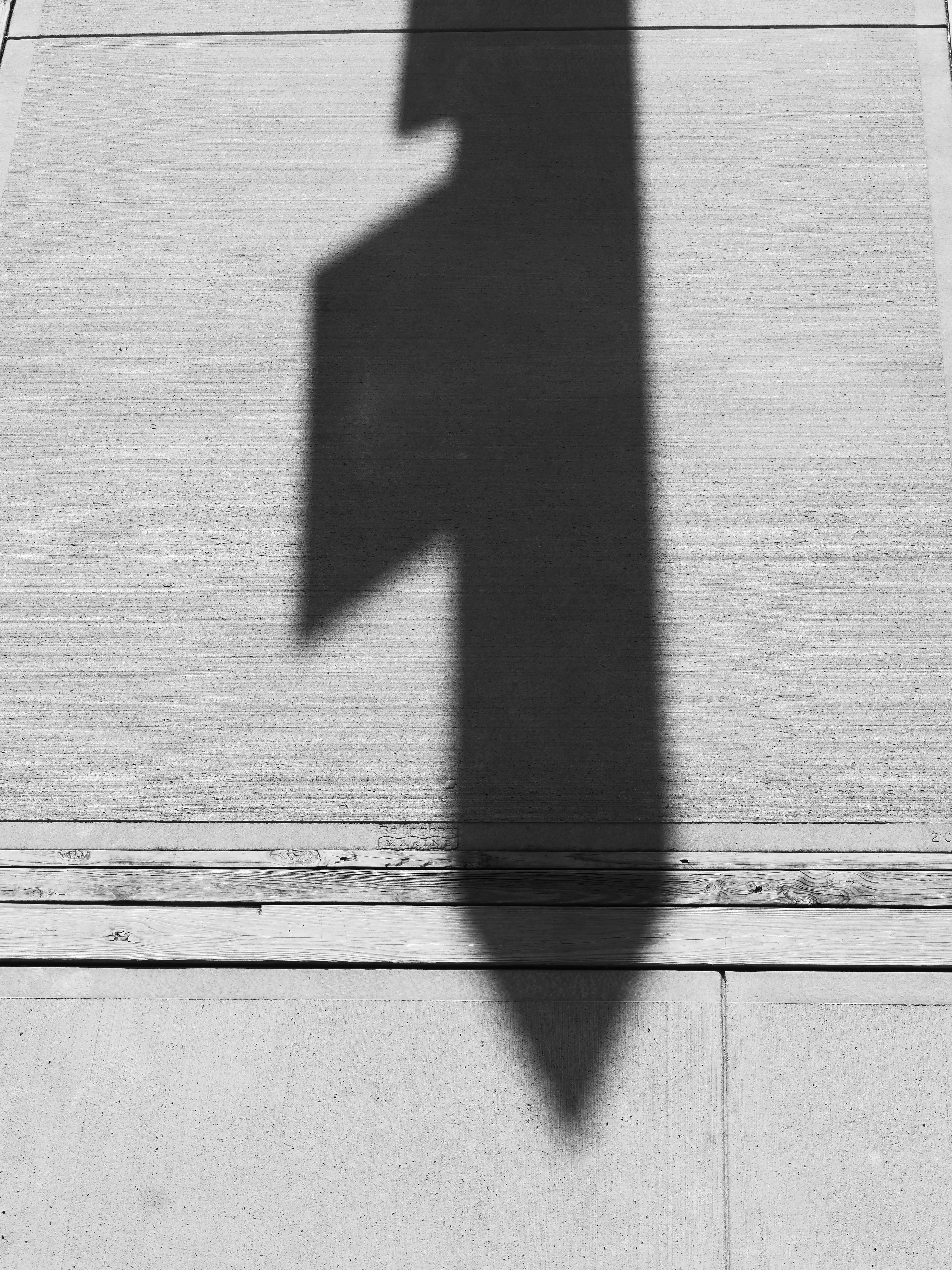 Photo by sschusterphotoart