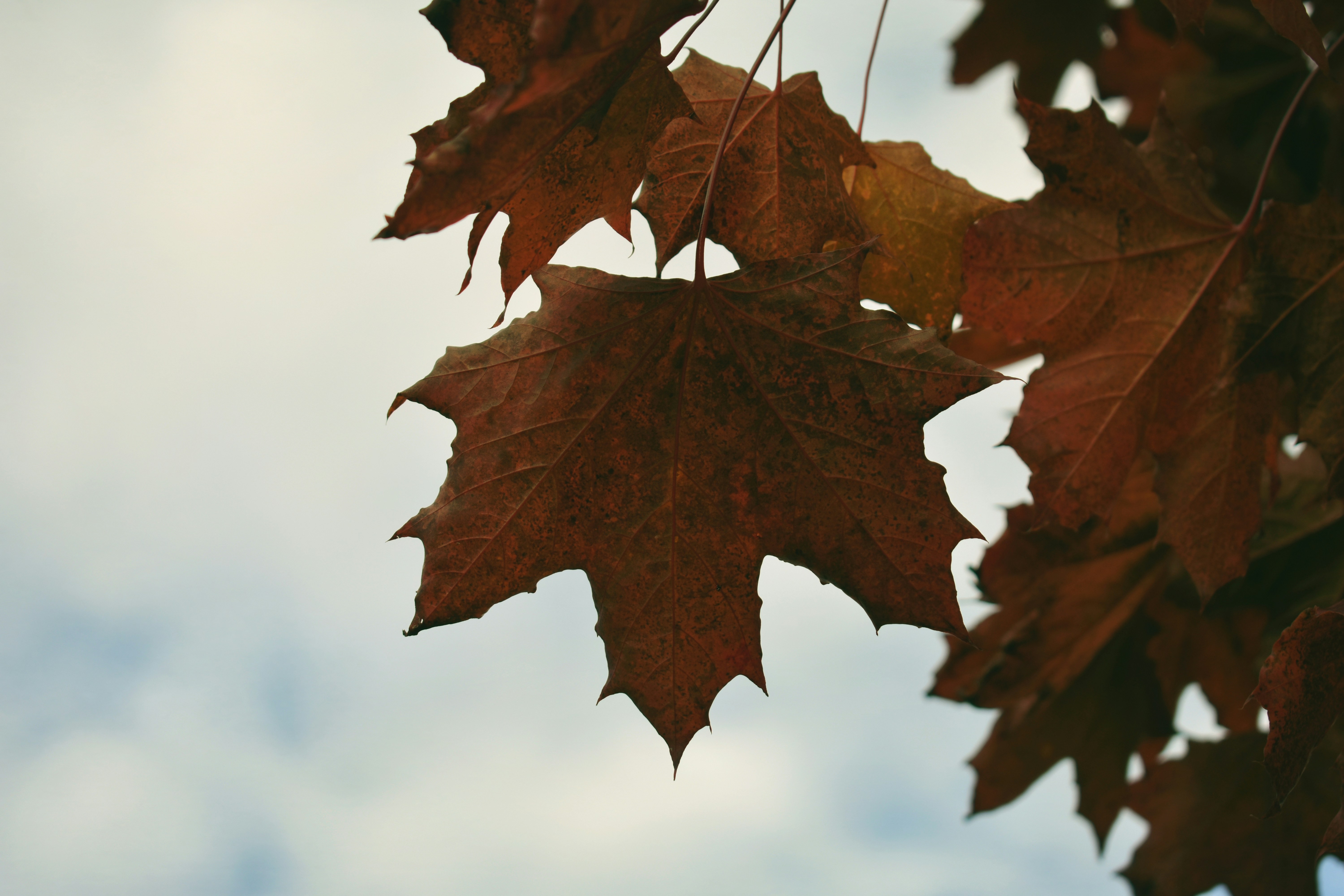 Photo by punkrockhippy_