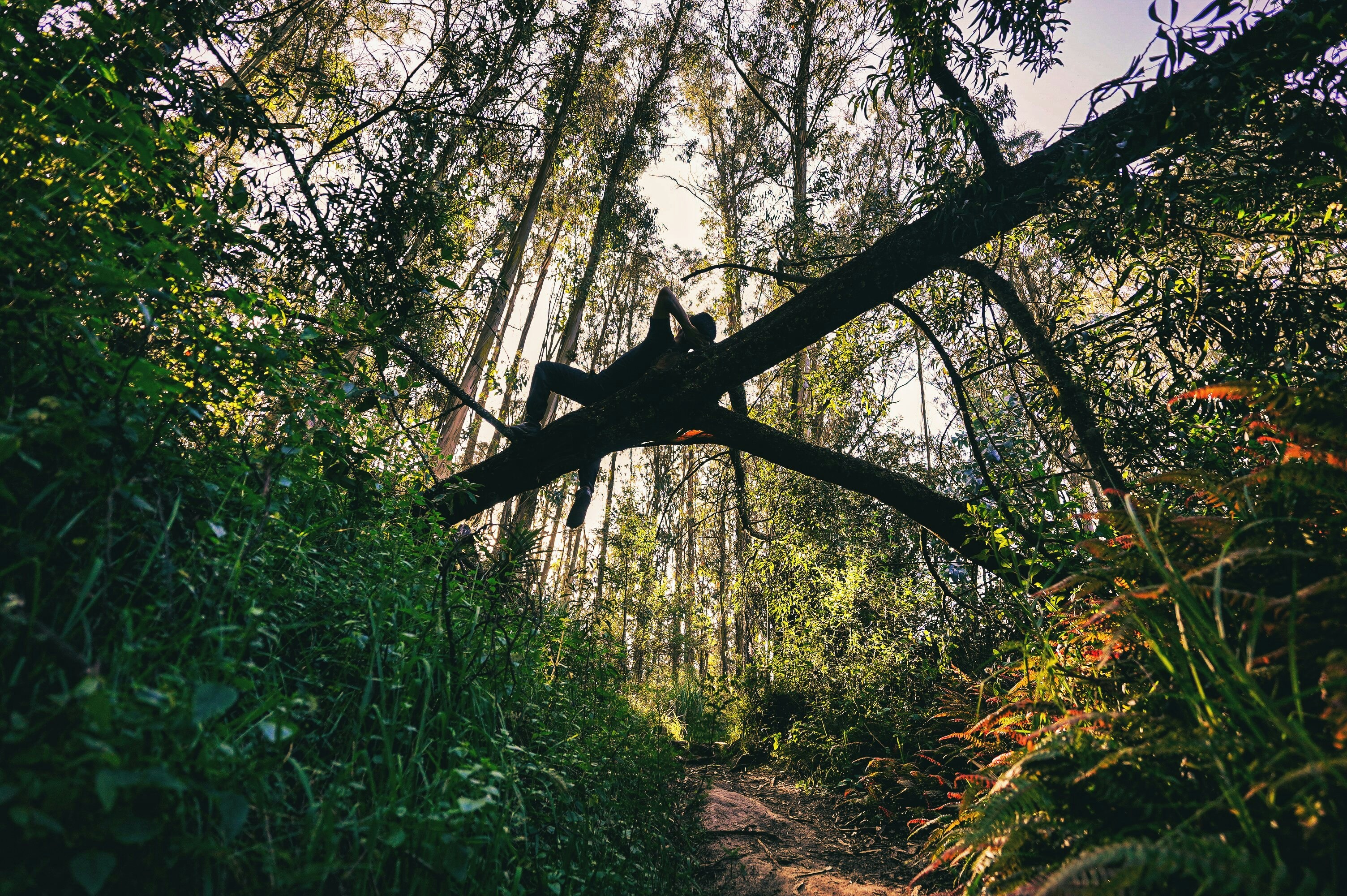 Photo by kiyoshi_jpg