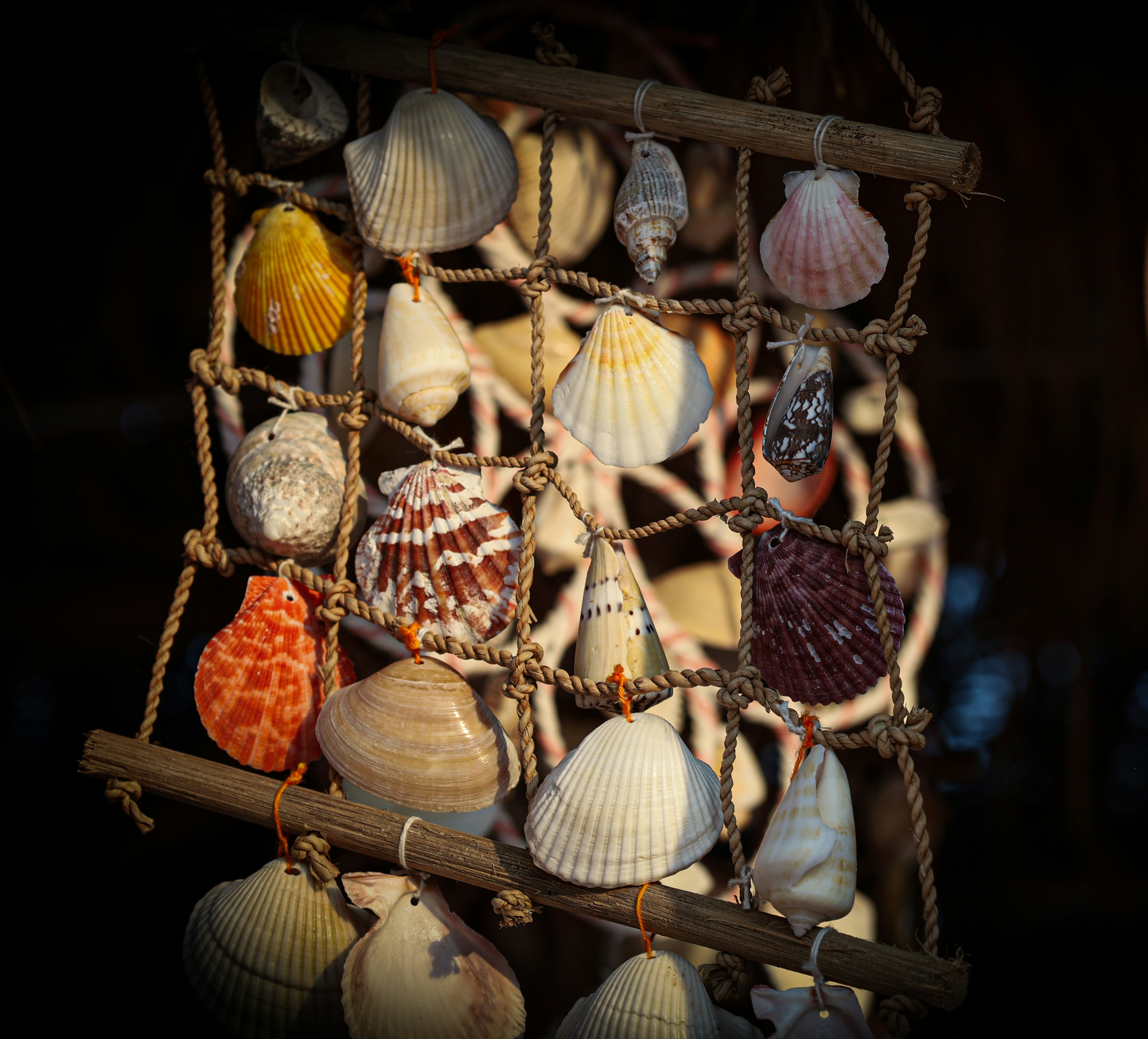 Hanging decoration made of various seashells and driftwood.