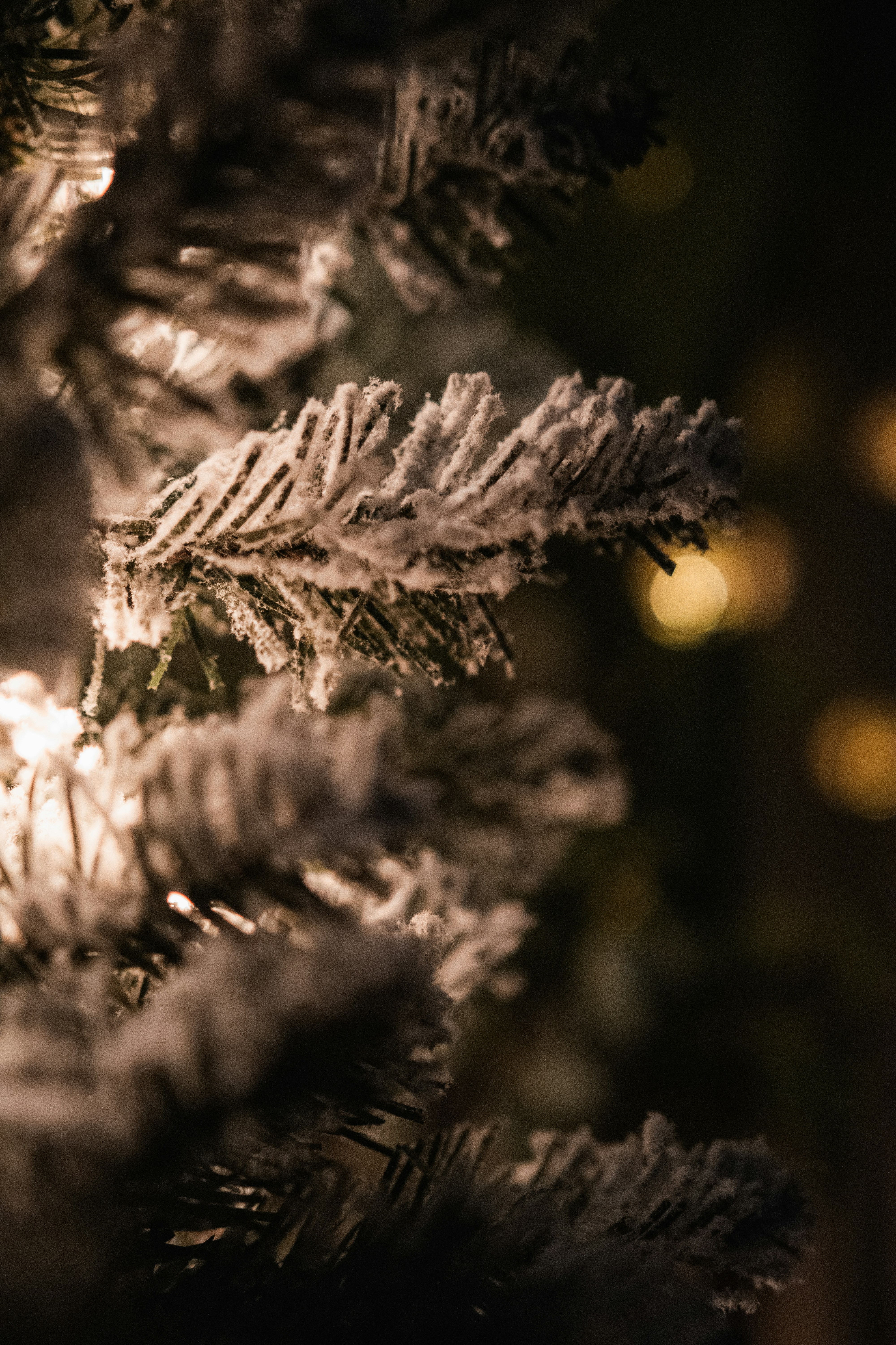 Photo by starworshipp3r