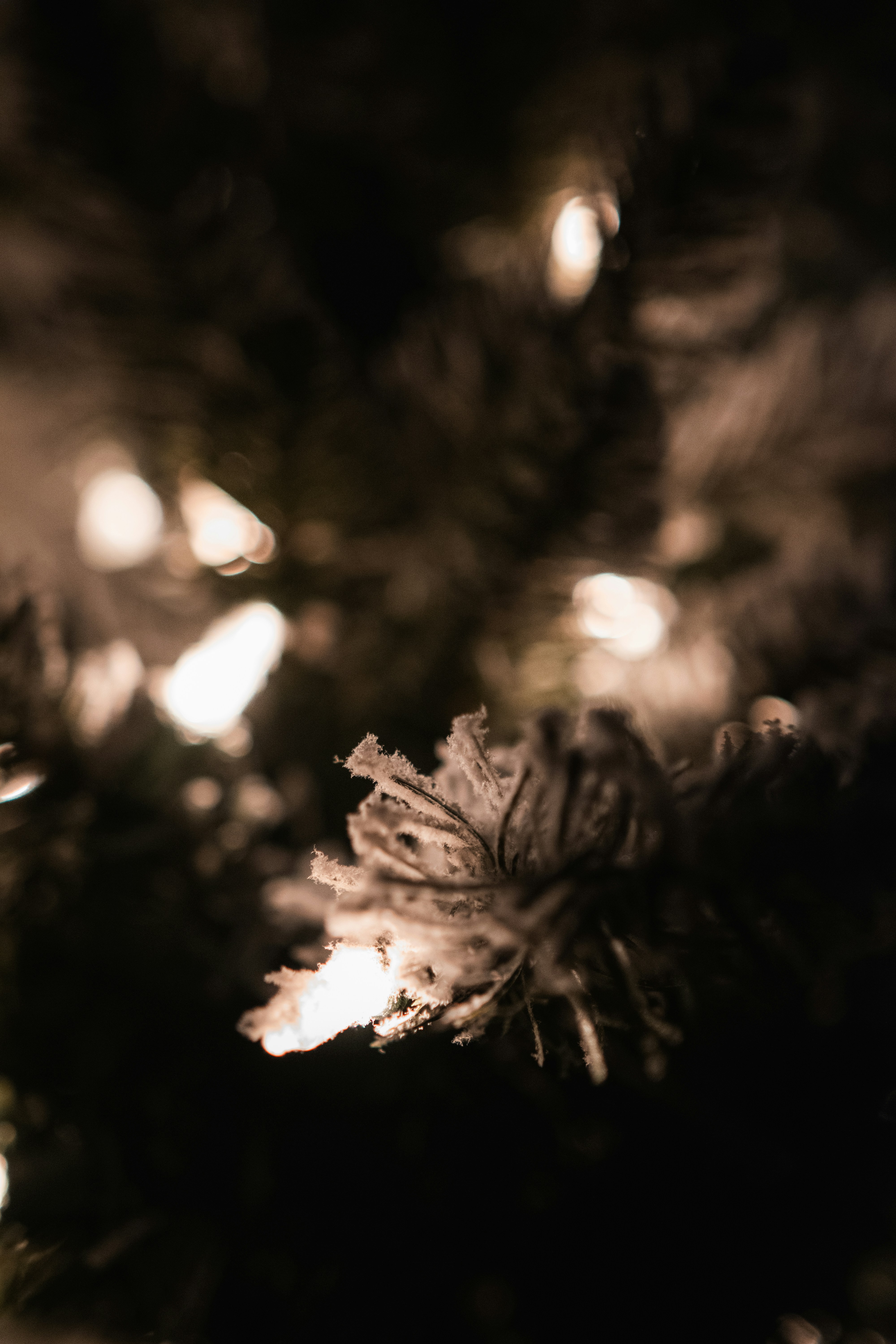 Photo by starworshipp3r