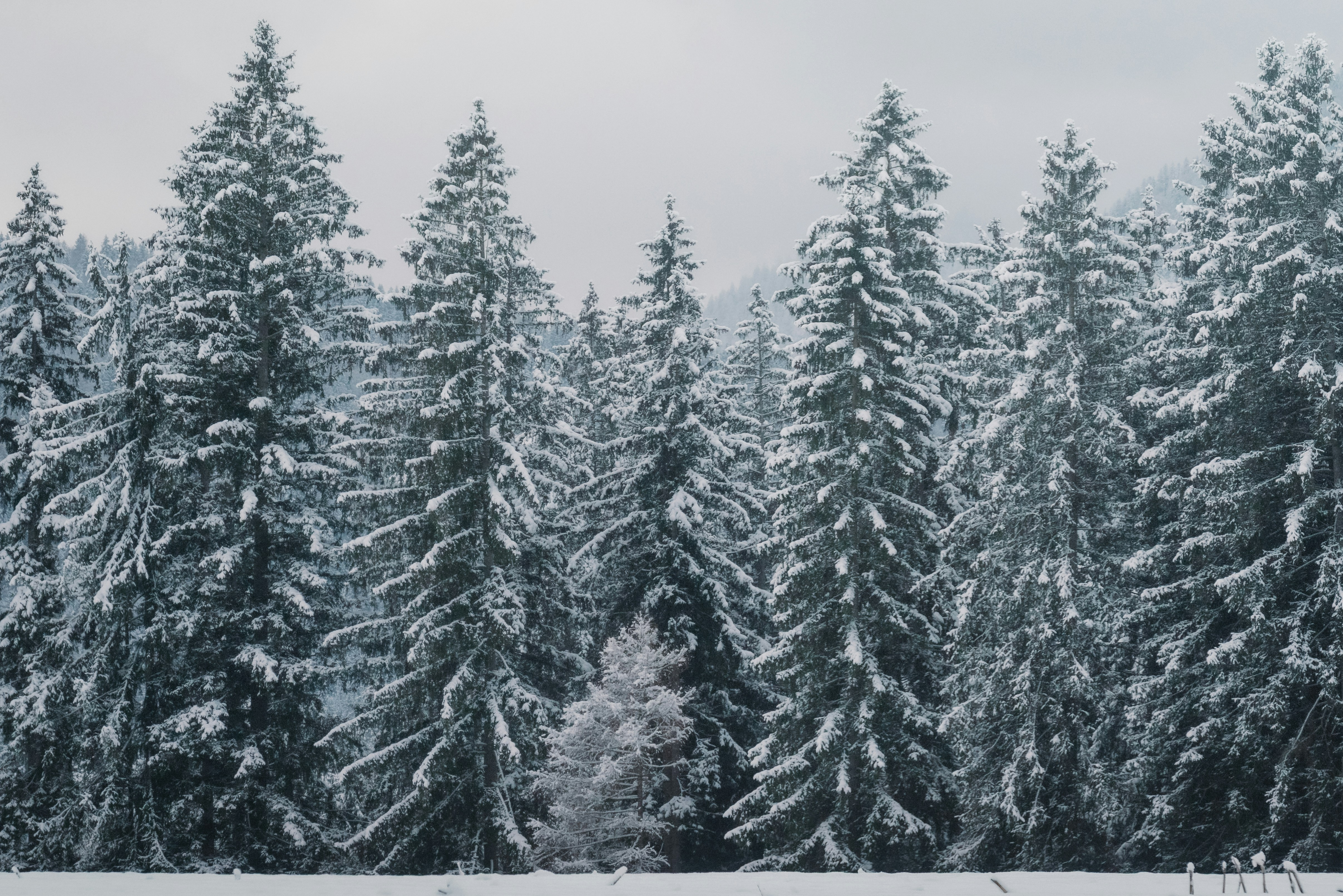 Photo by ahmetyuksek