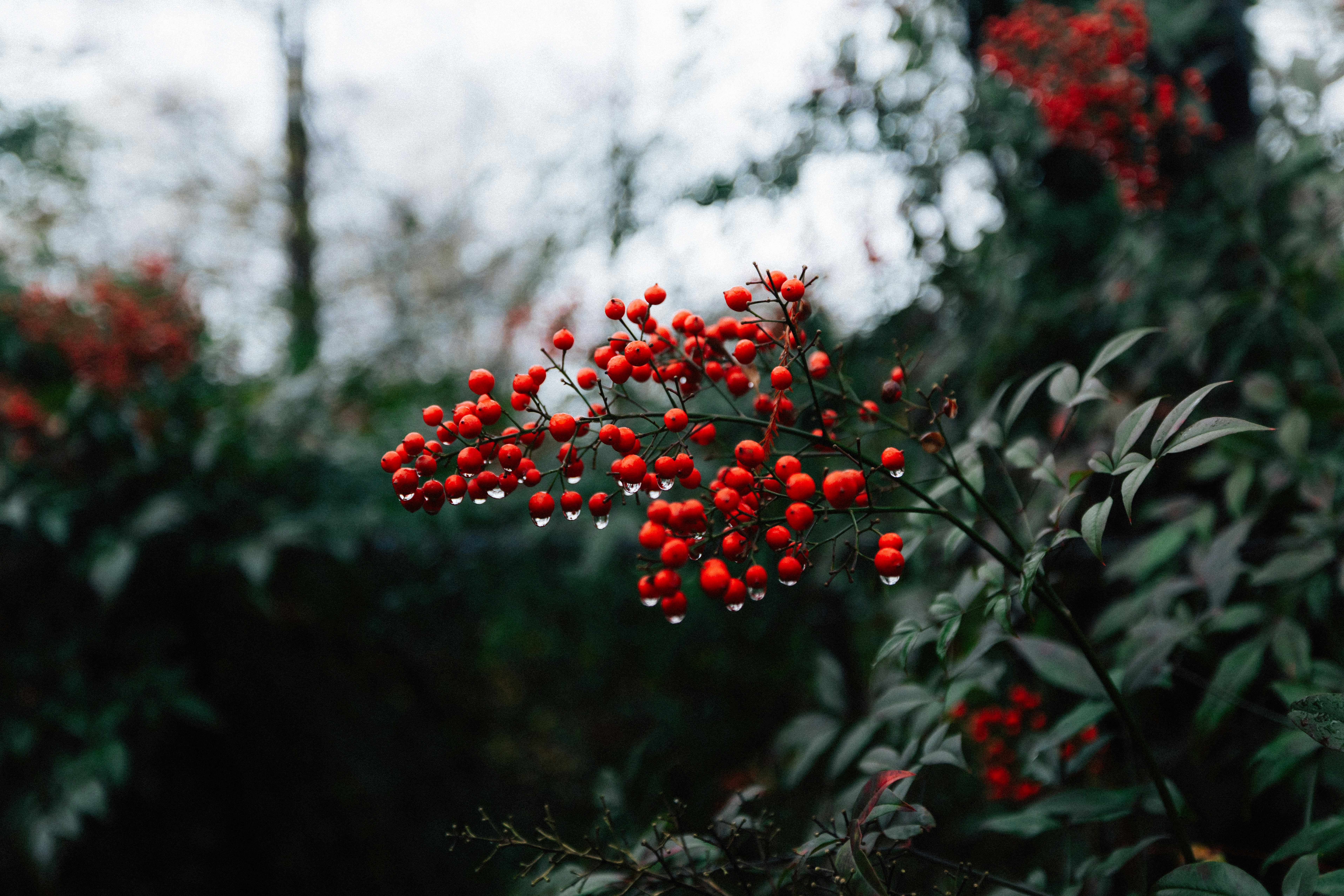 Leading 10 Methods For Company Tax Planning To Accomplish Optimum Financial Savings