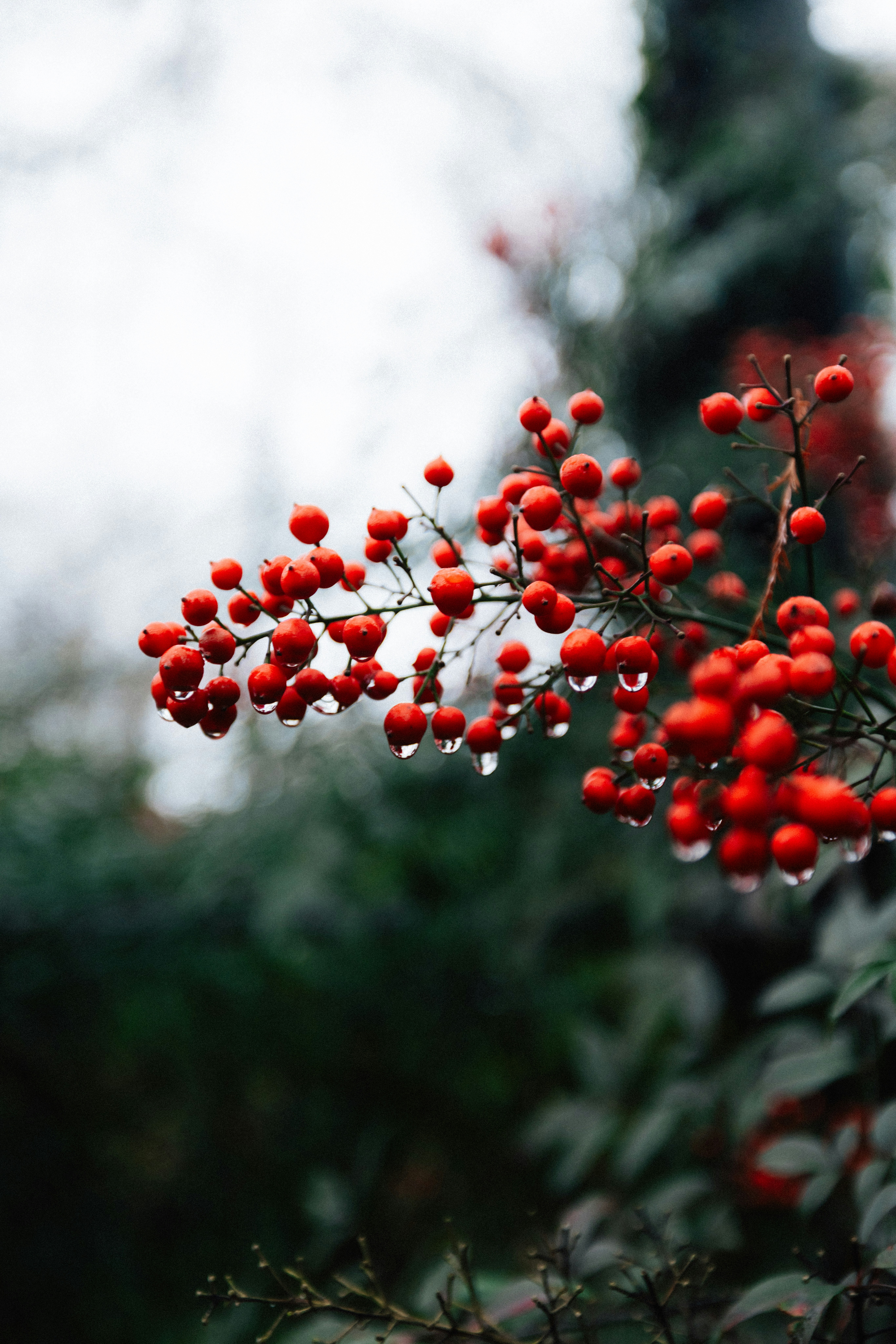 Photo by brookebalentine