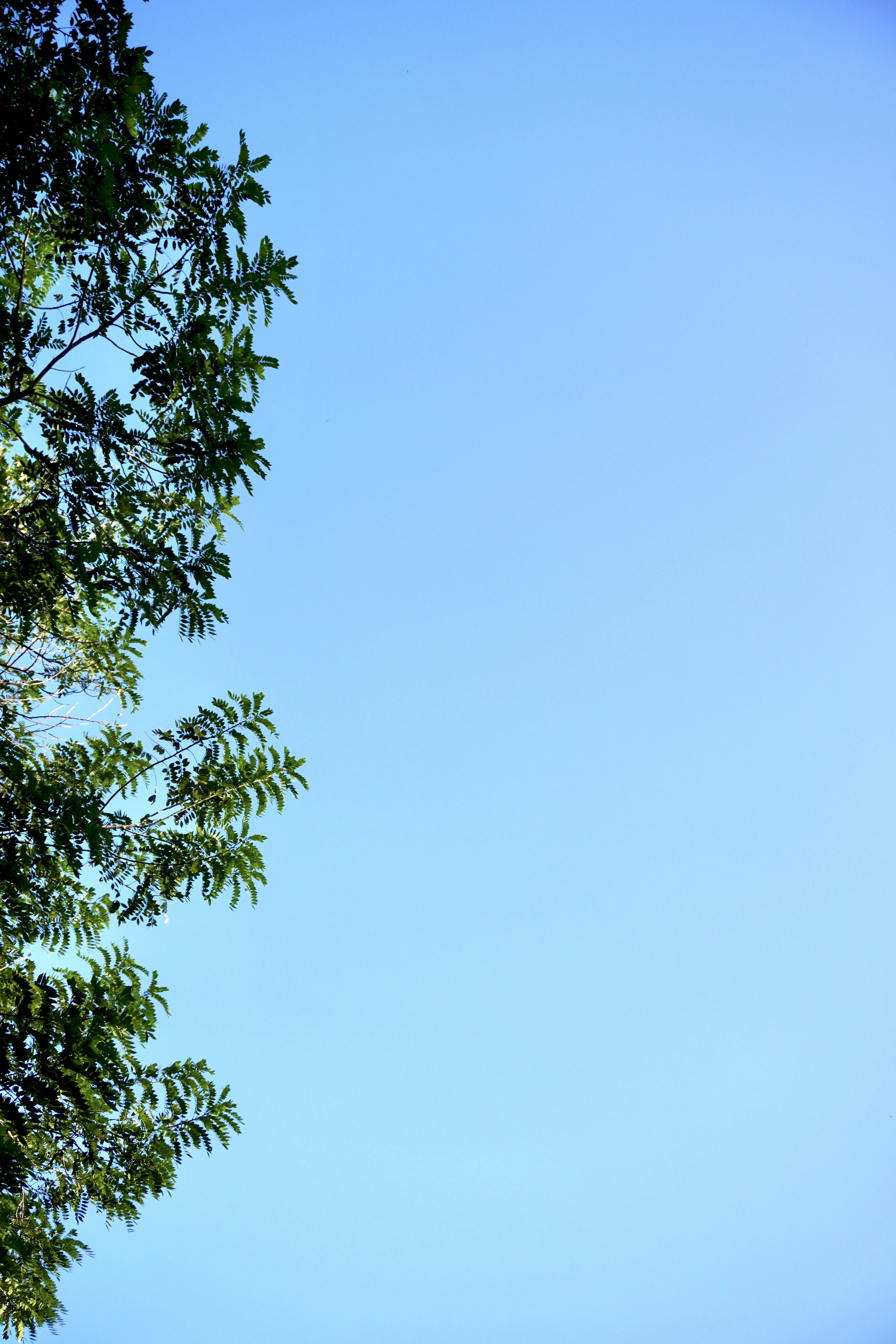 Photo by justjoker44