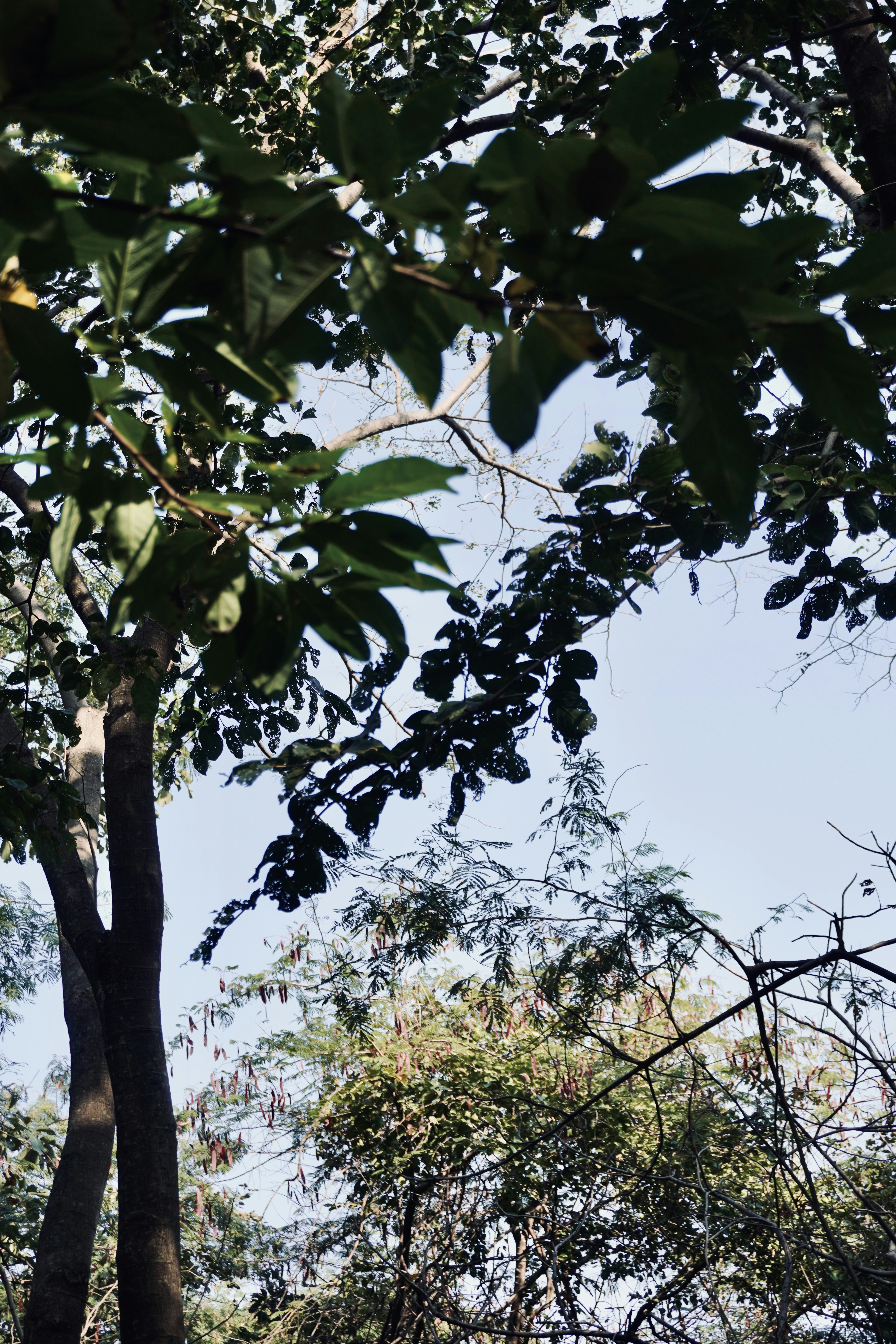 Photo by justjoker44