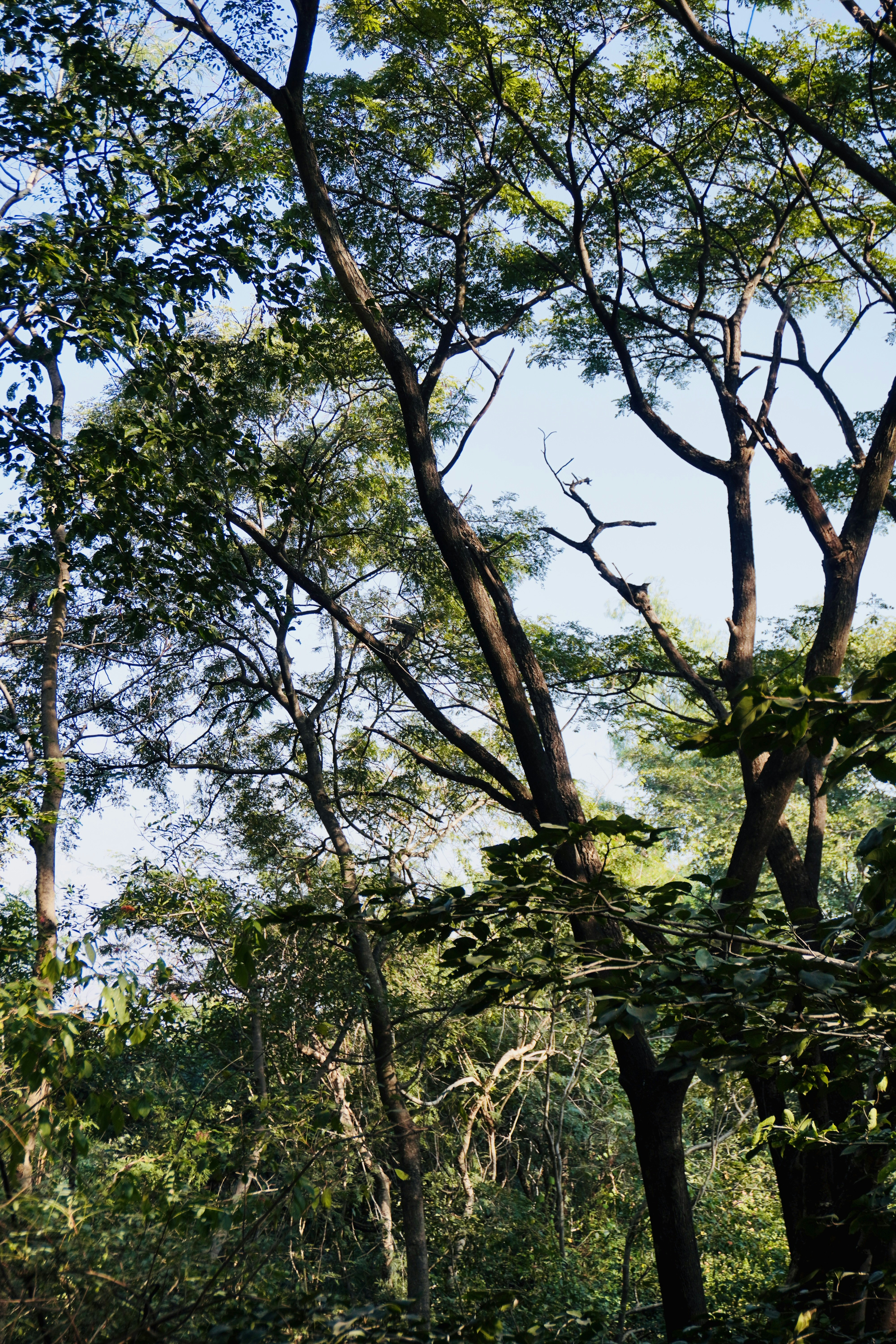 Photo by justjoker44