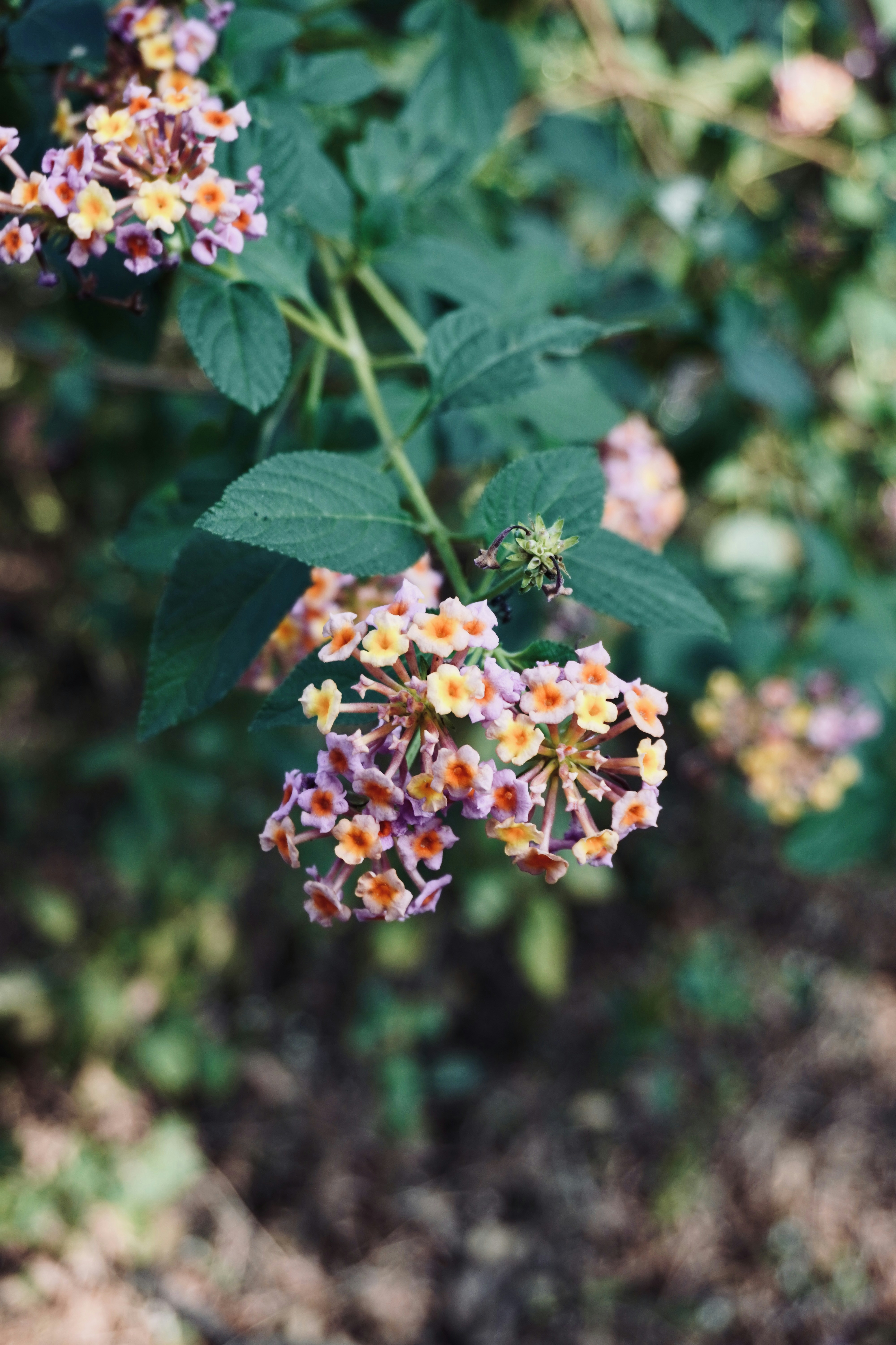 Photo by justjoker44