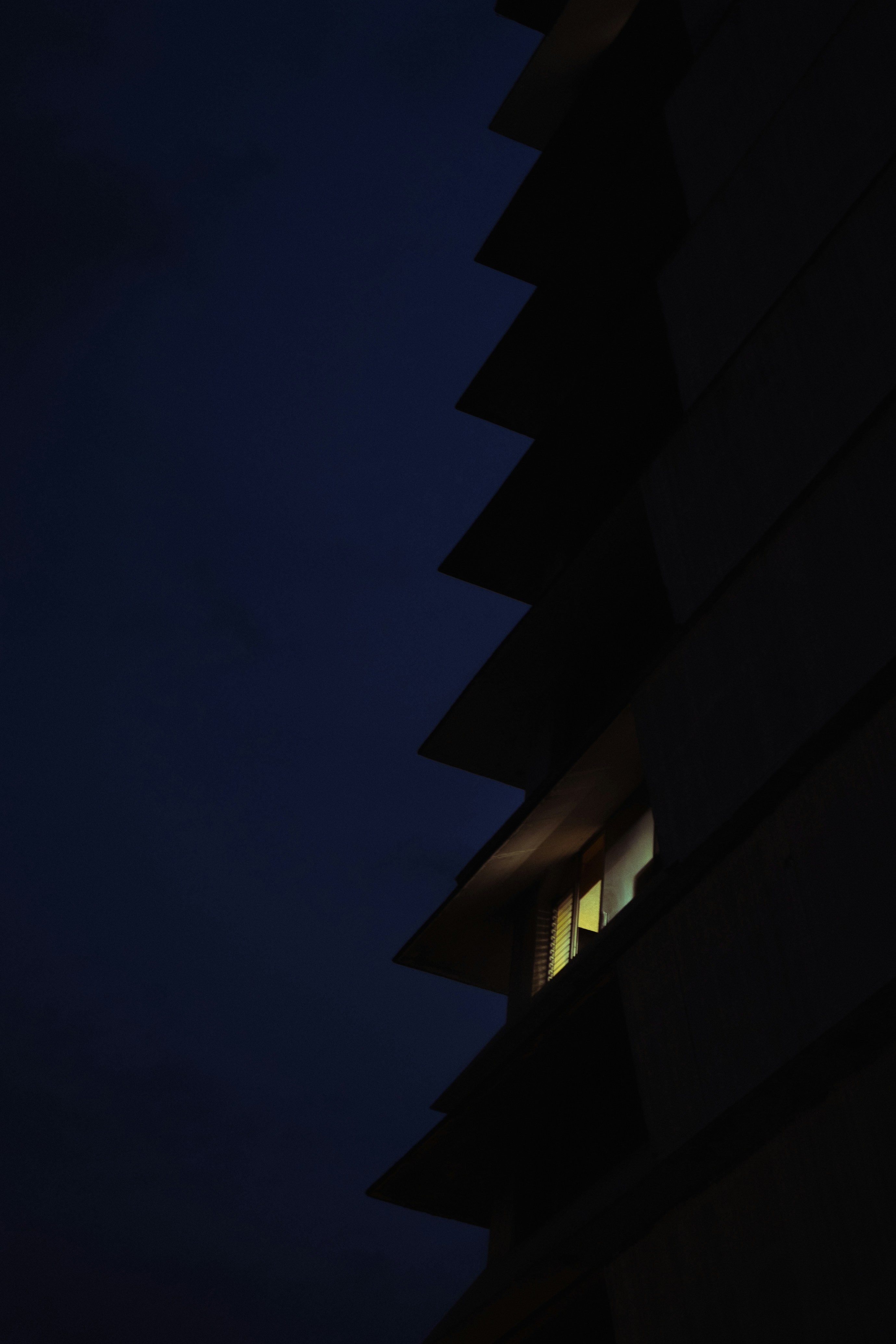 Photo by angelmalrey