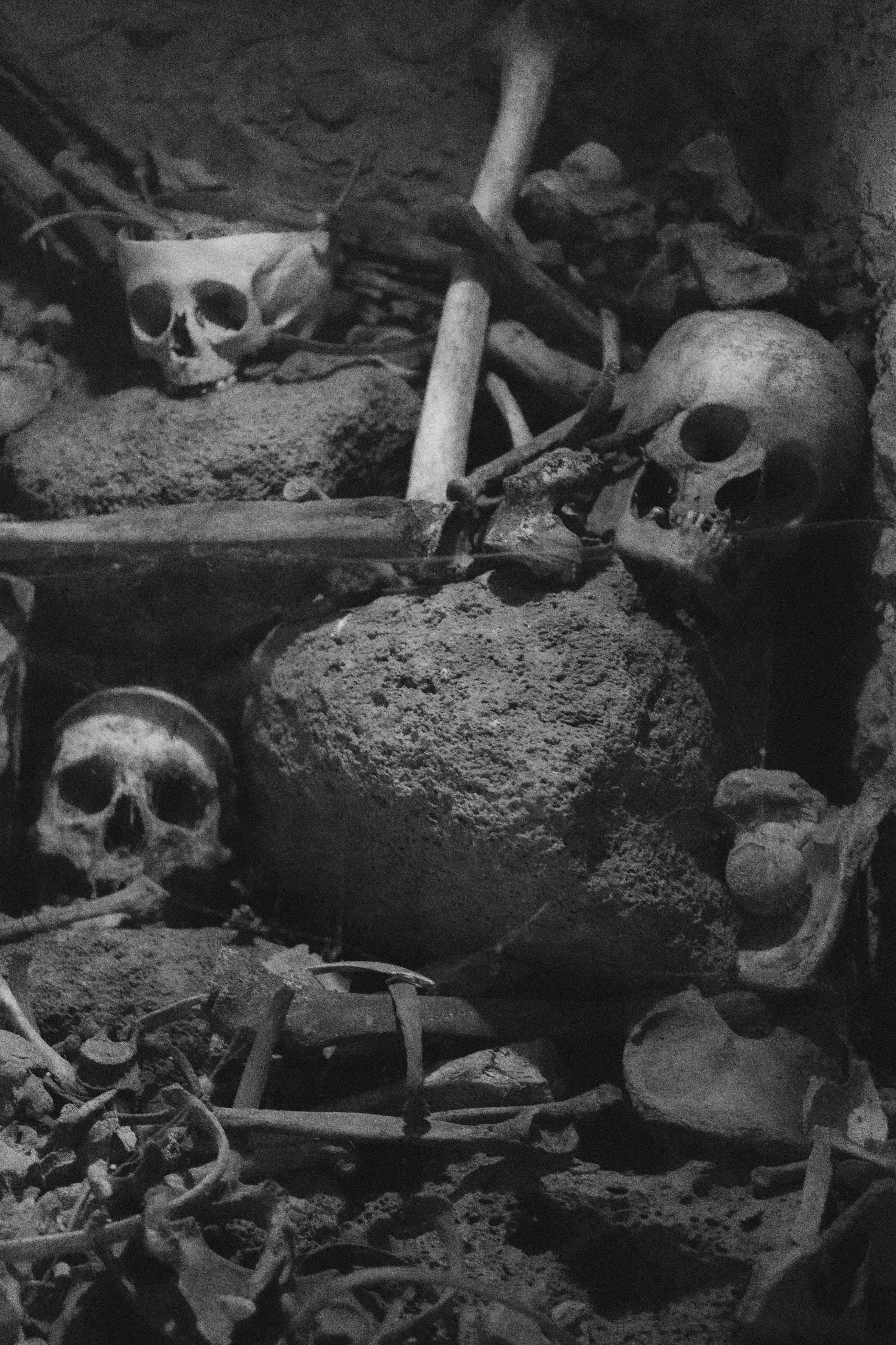 Pile of human skulls and bones in a dark setting.