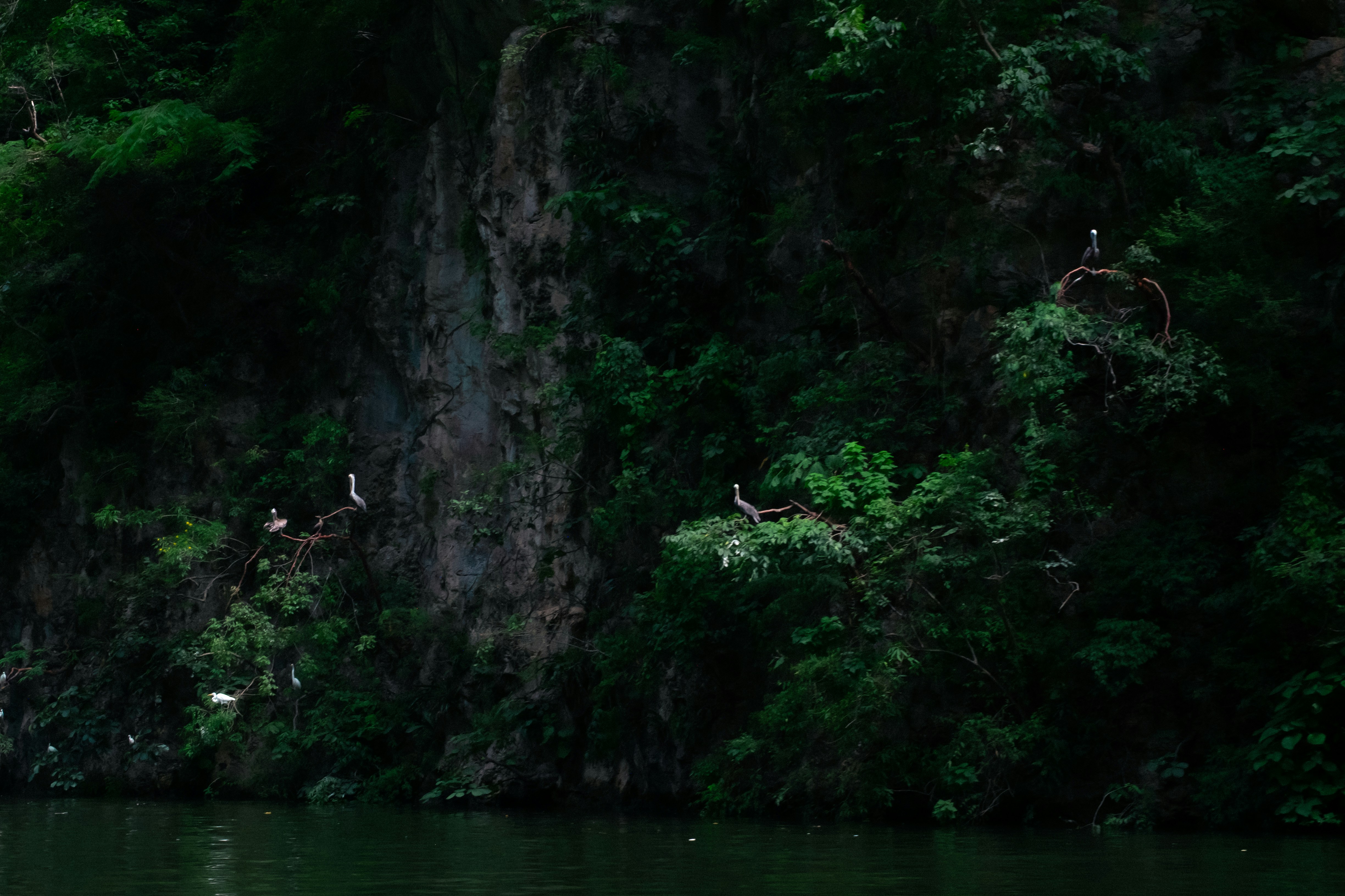 Photo by angelmalrey