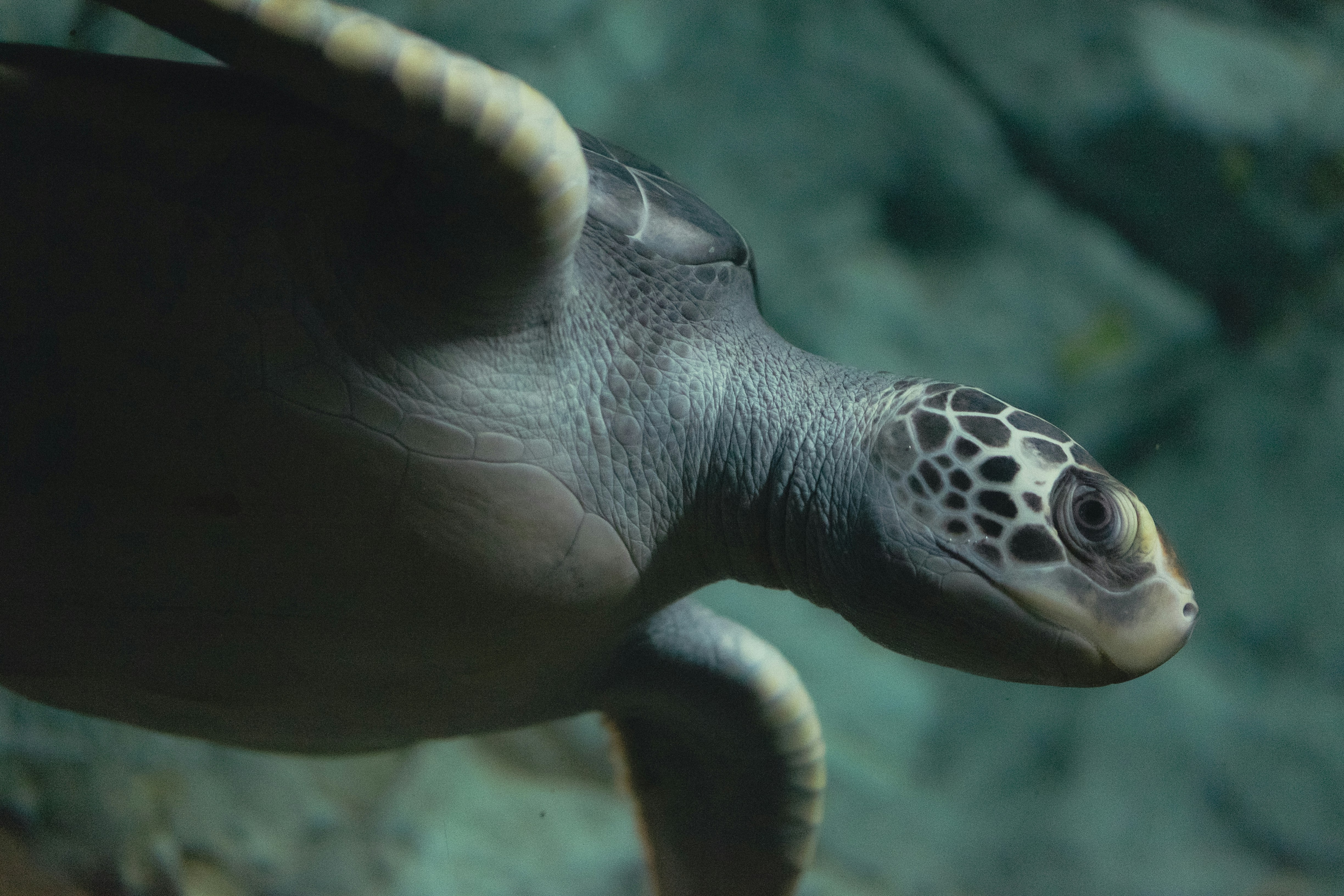 Photo by angelmalrey