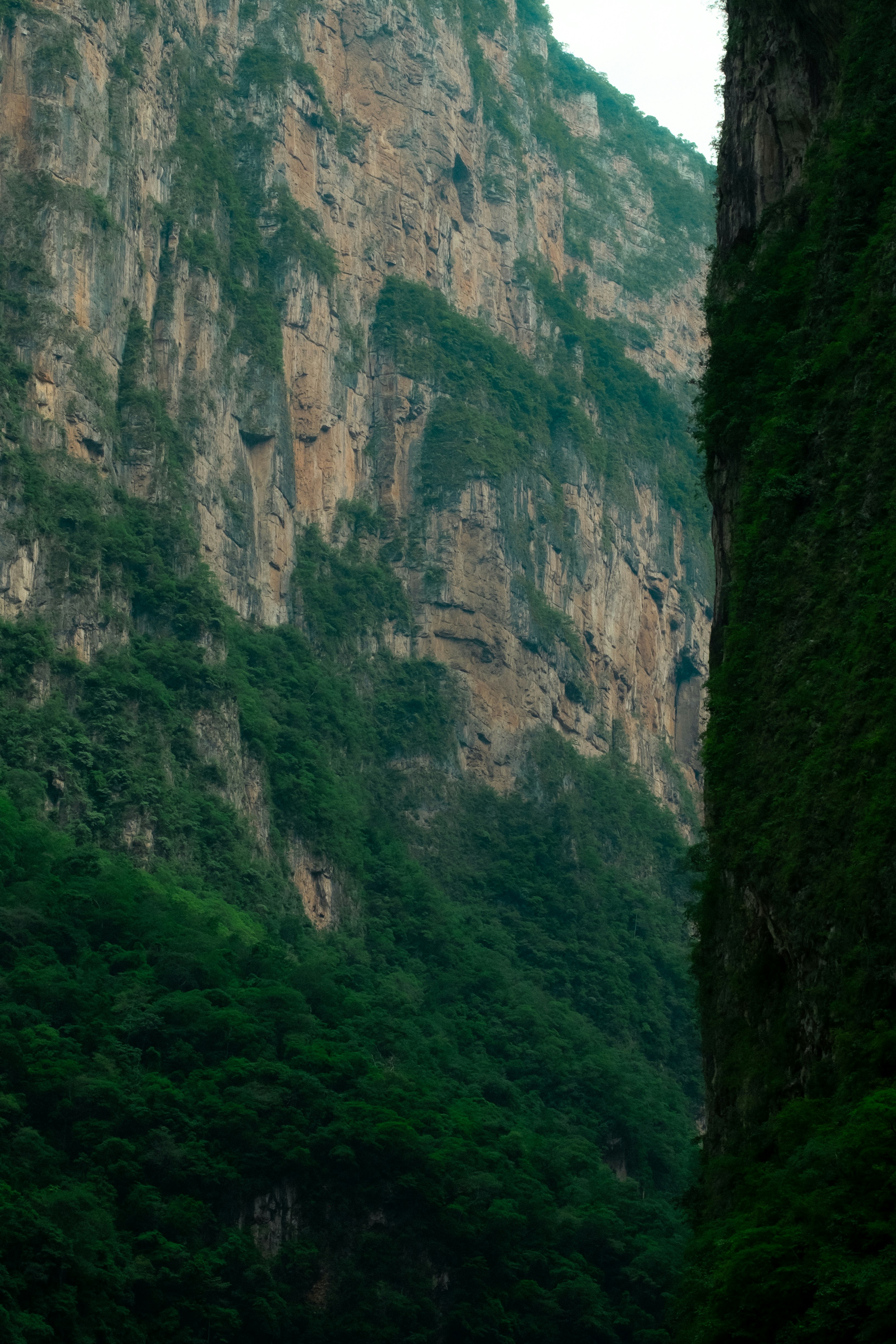 Photo by angelmalrey