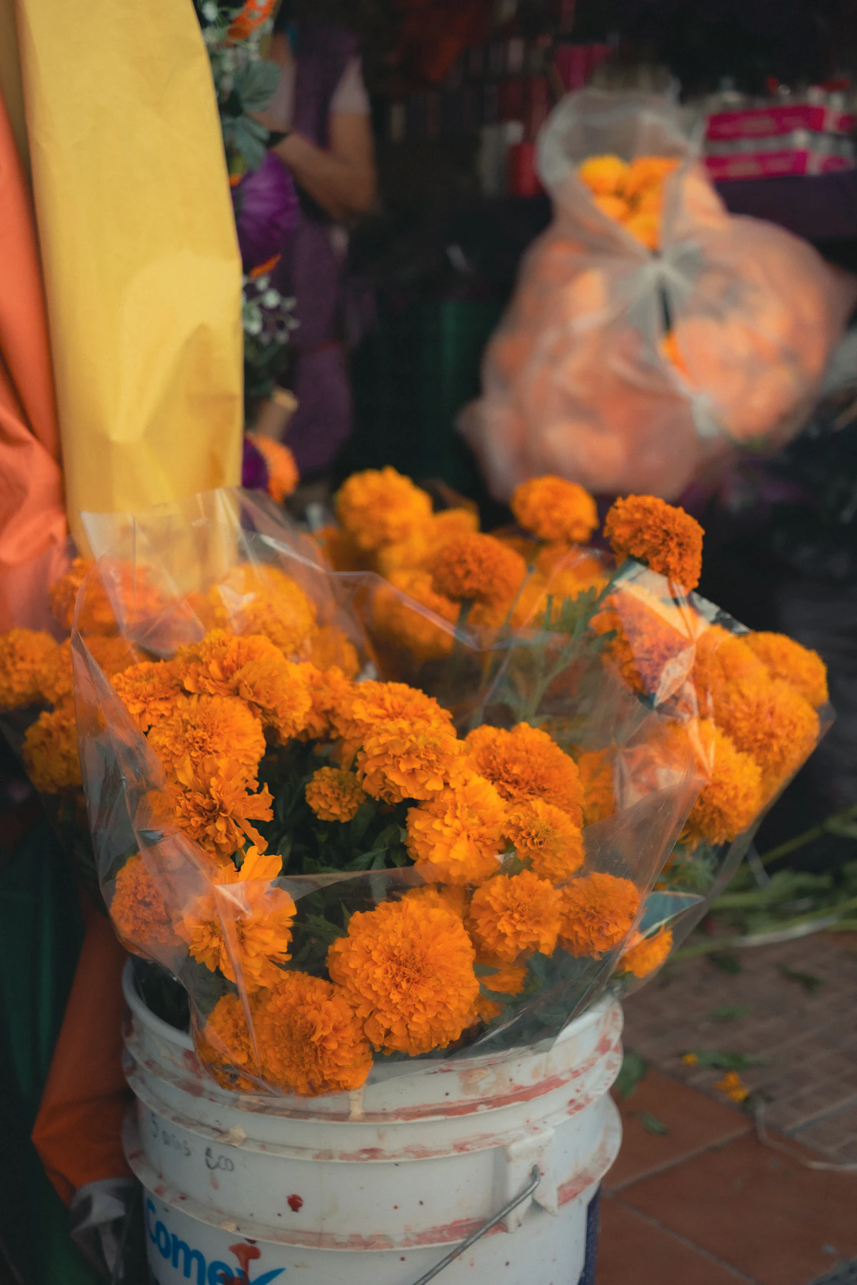 Cempasuchil marigold flowers in Mexican market