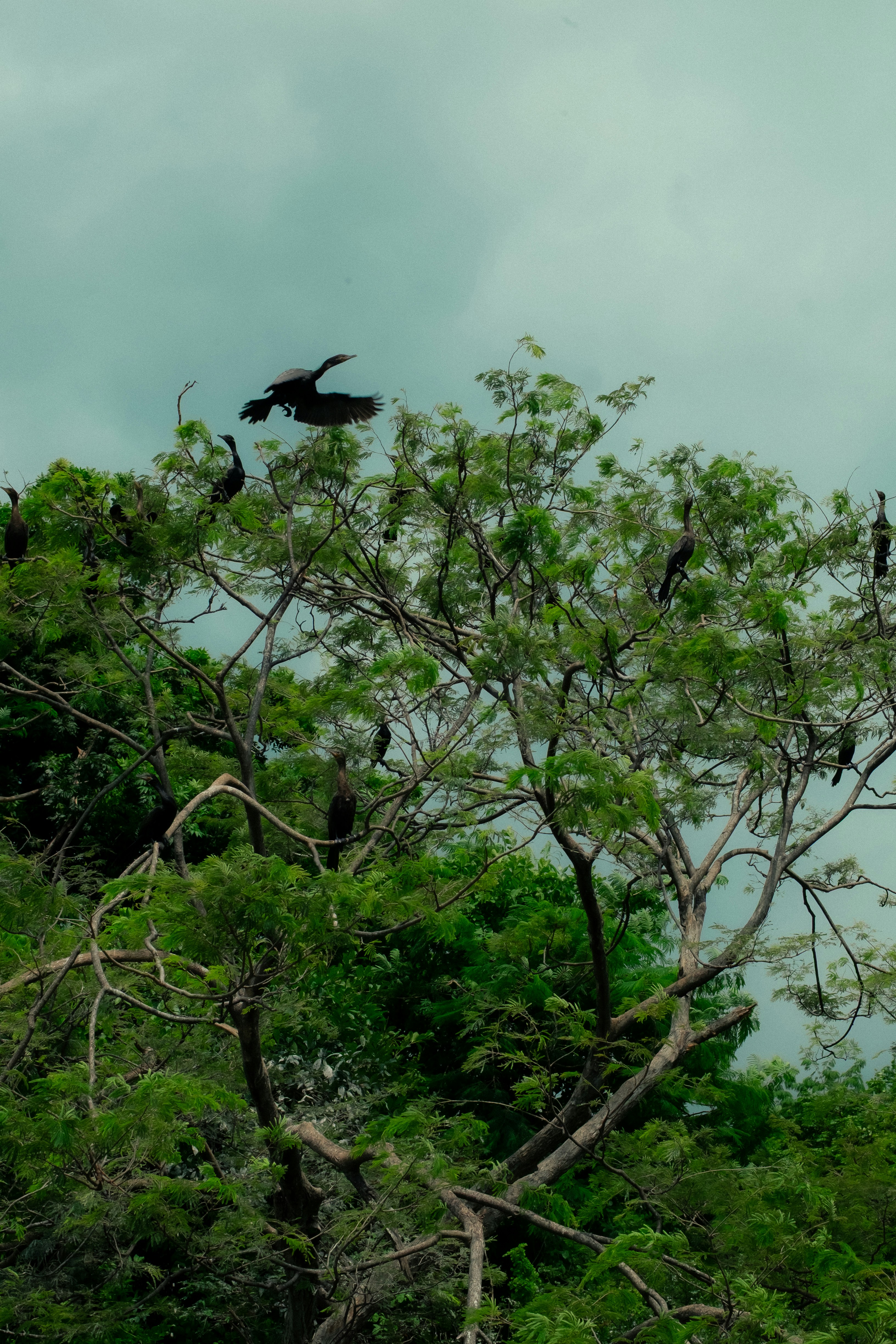 Photo by angelmalrey