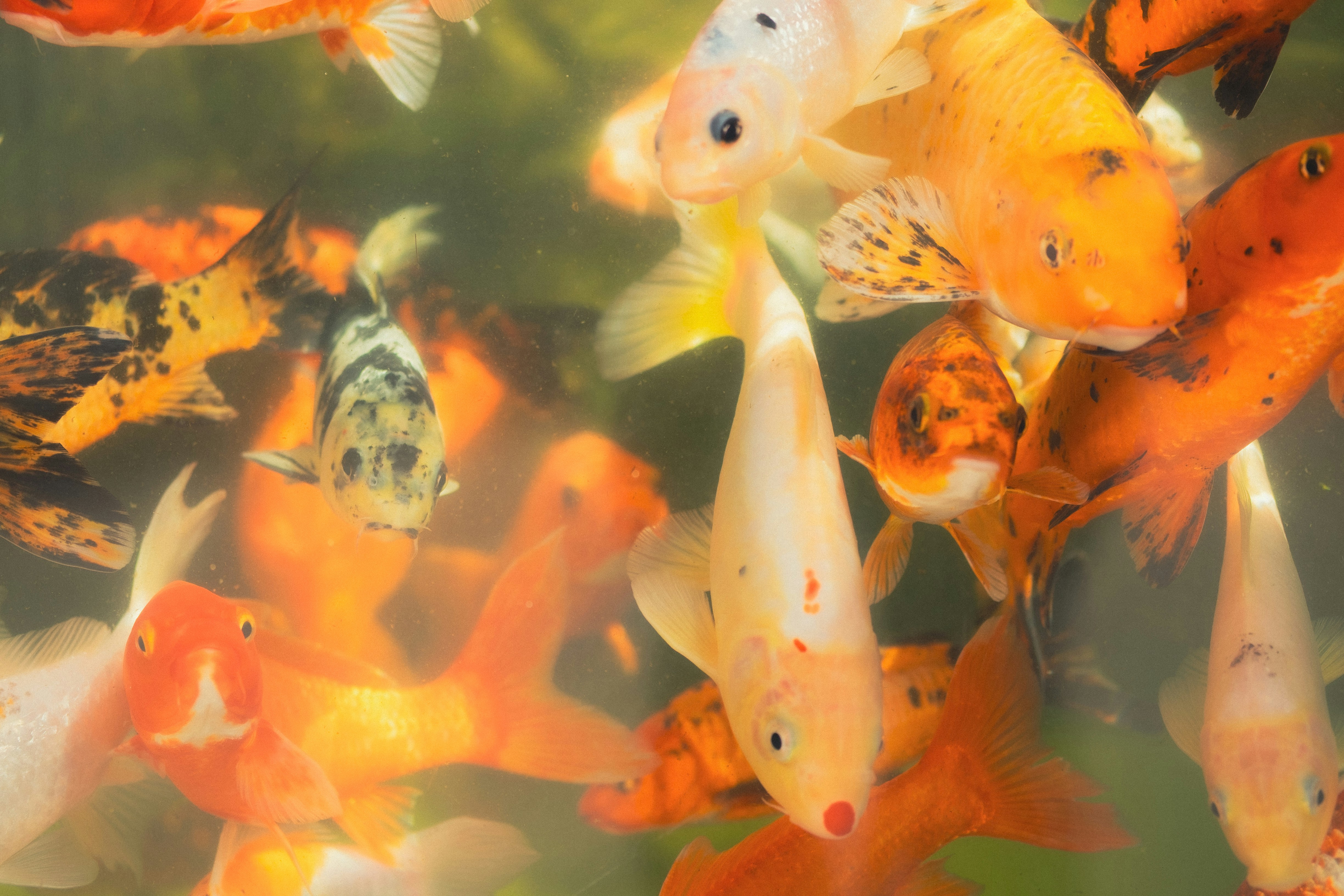 Photo by angelmalrey