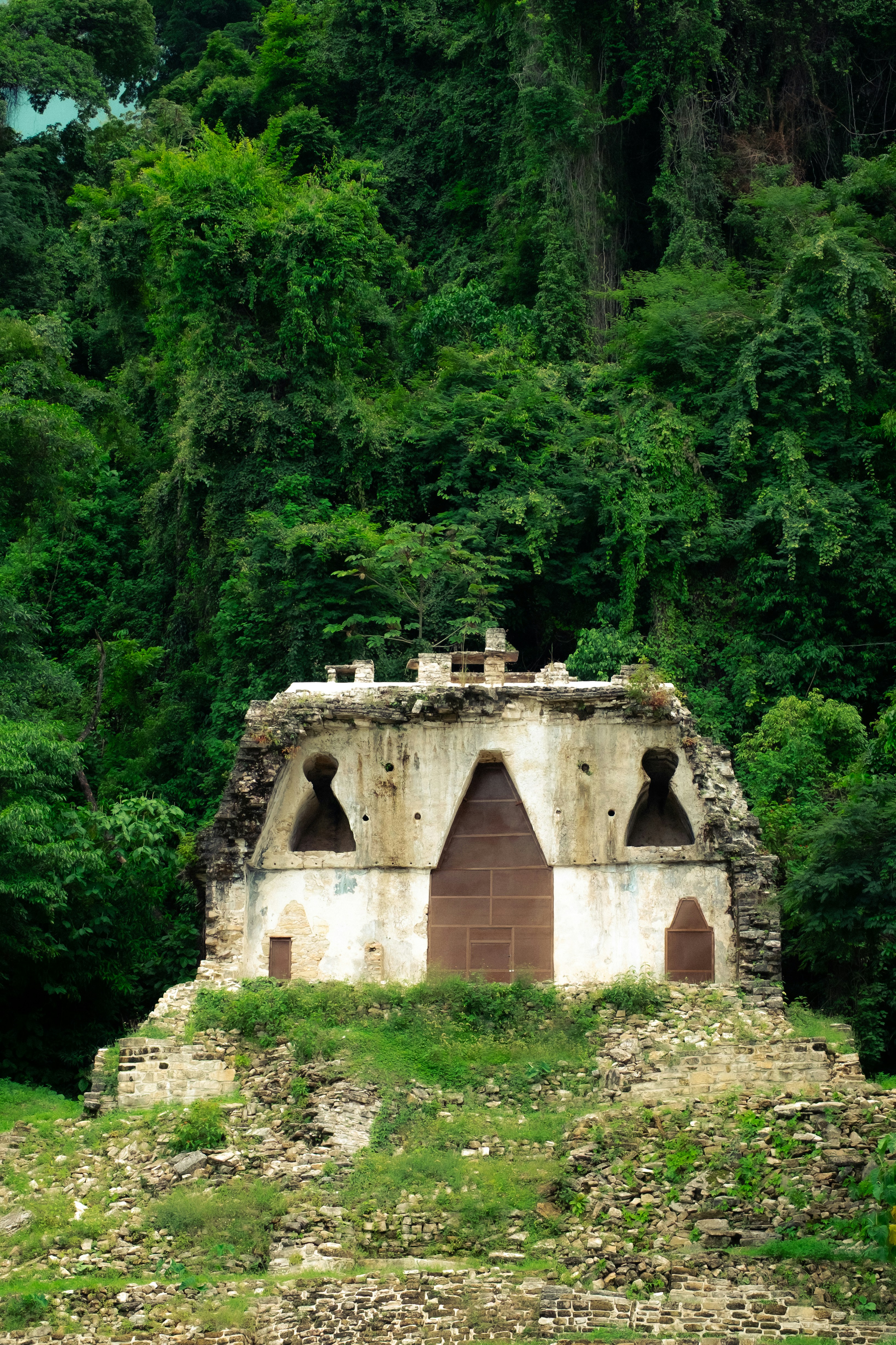 Ancient stone ruins overgrown with lush green jungle foliage.