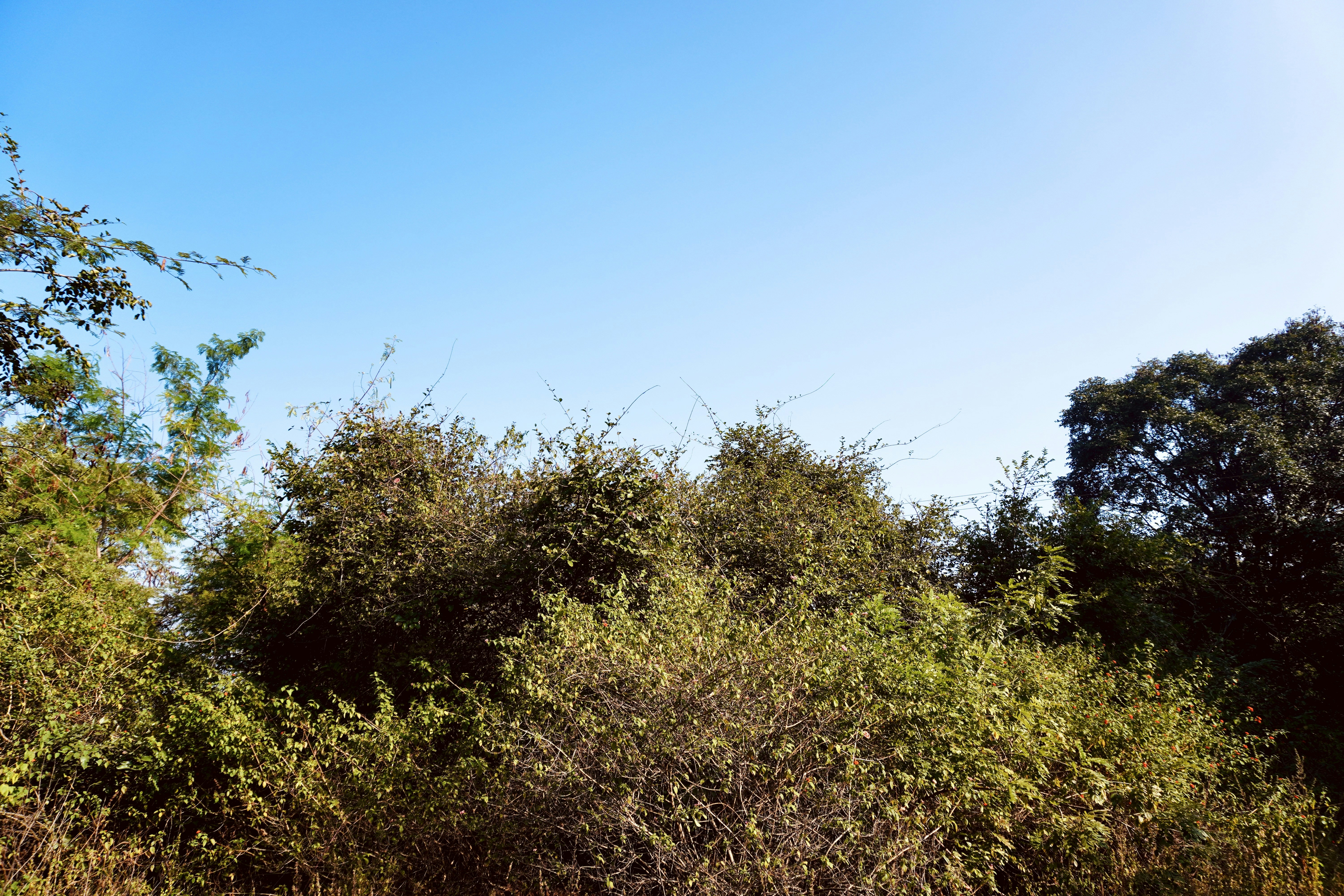 Photo by justjoker44