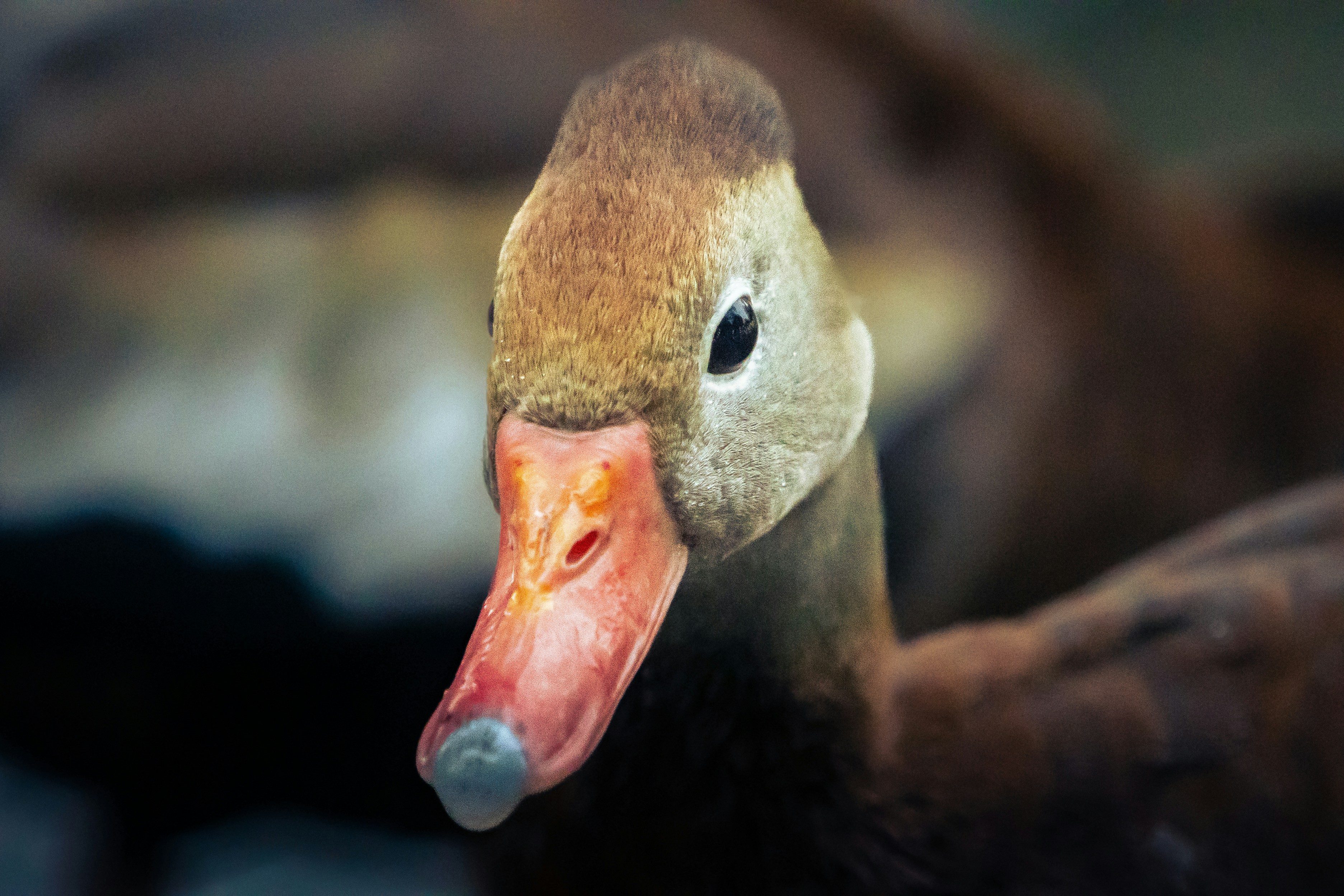 Photo by brogtographer08