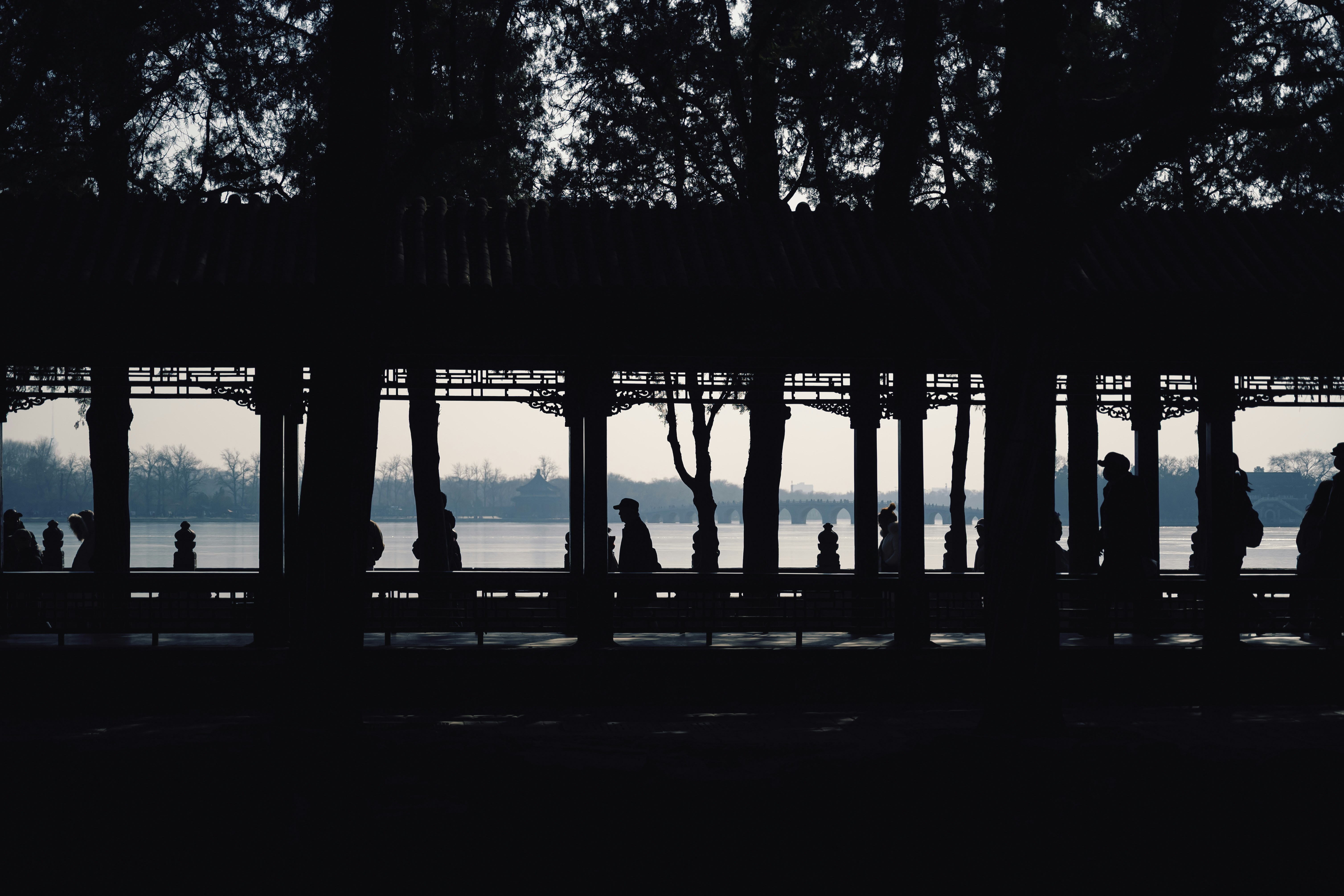 Silhouettes of people walking along a waterfront promenade.