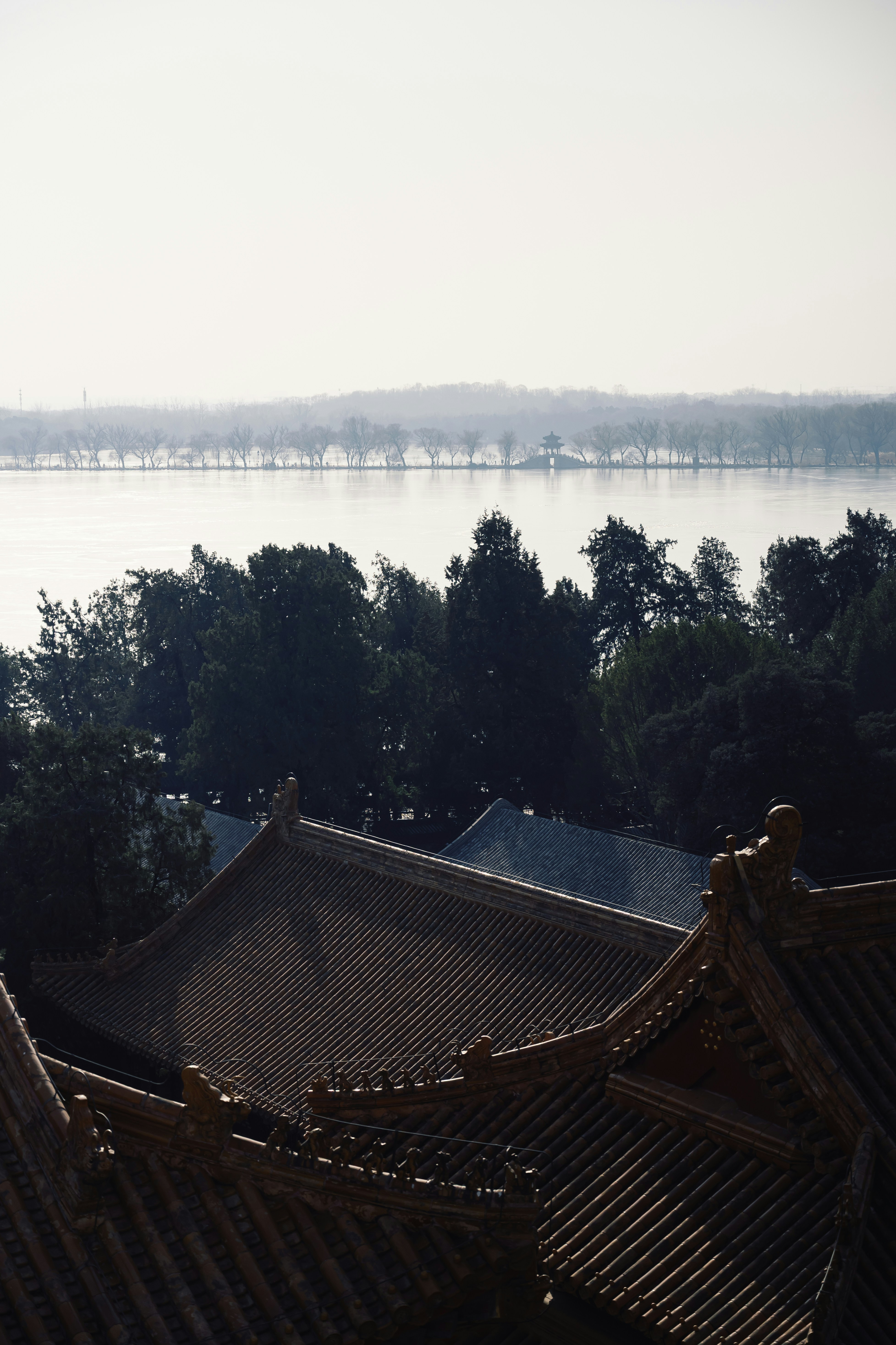 Rooftops of traditional buildings with a lake in background.