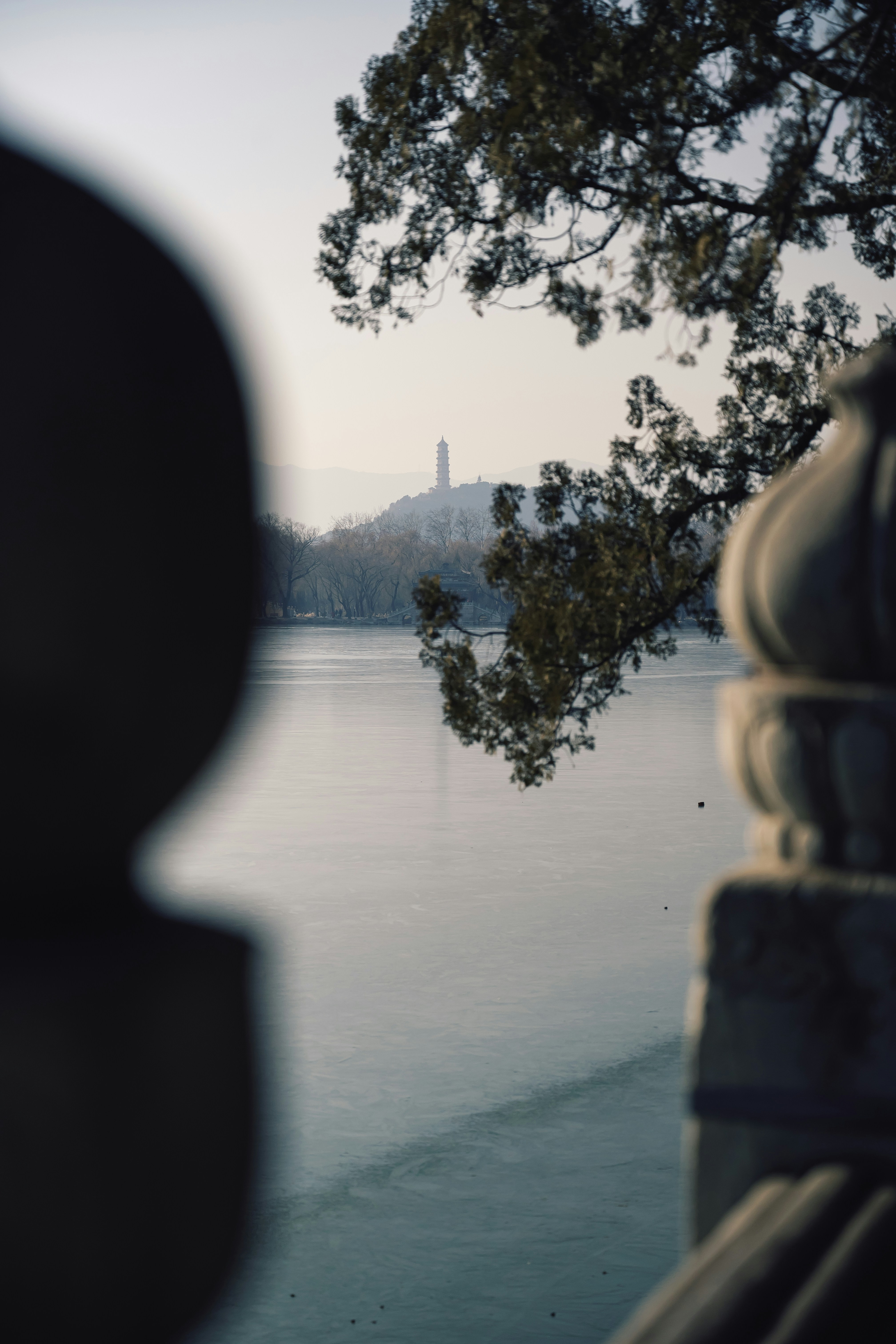 Frozen lake with distant pagoda and tree branches