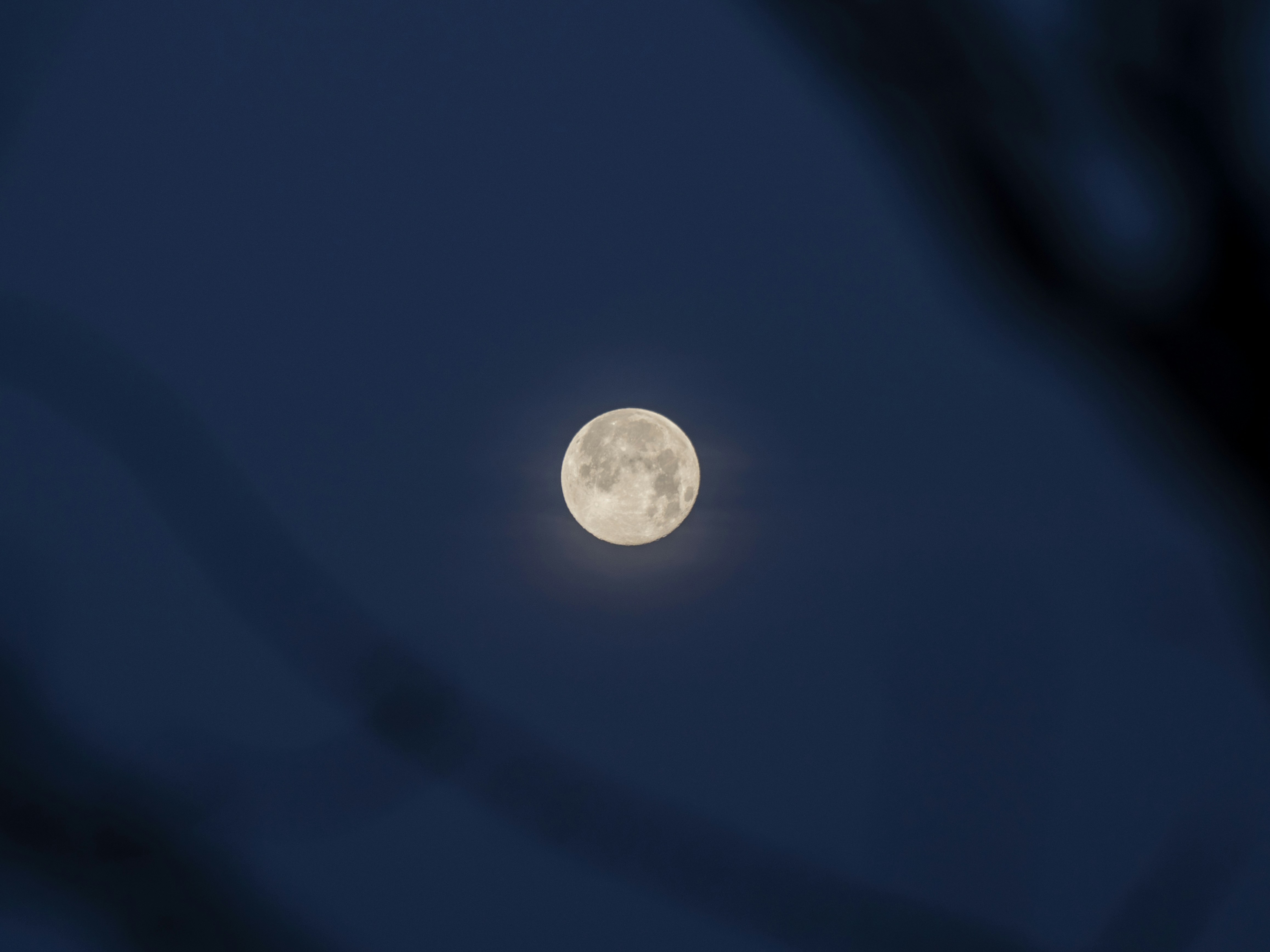 Photo by hendrikmorkel