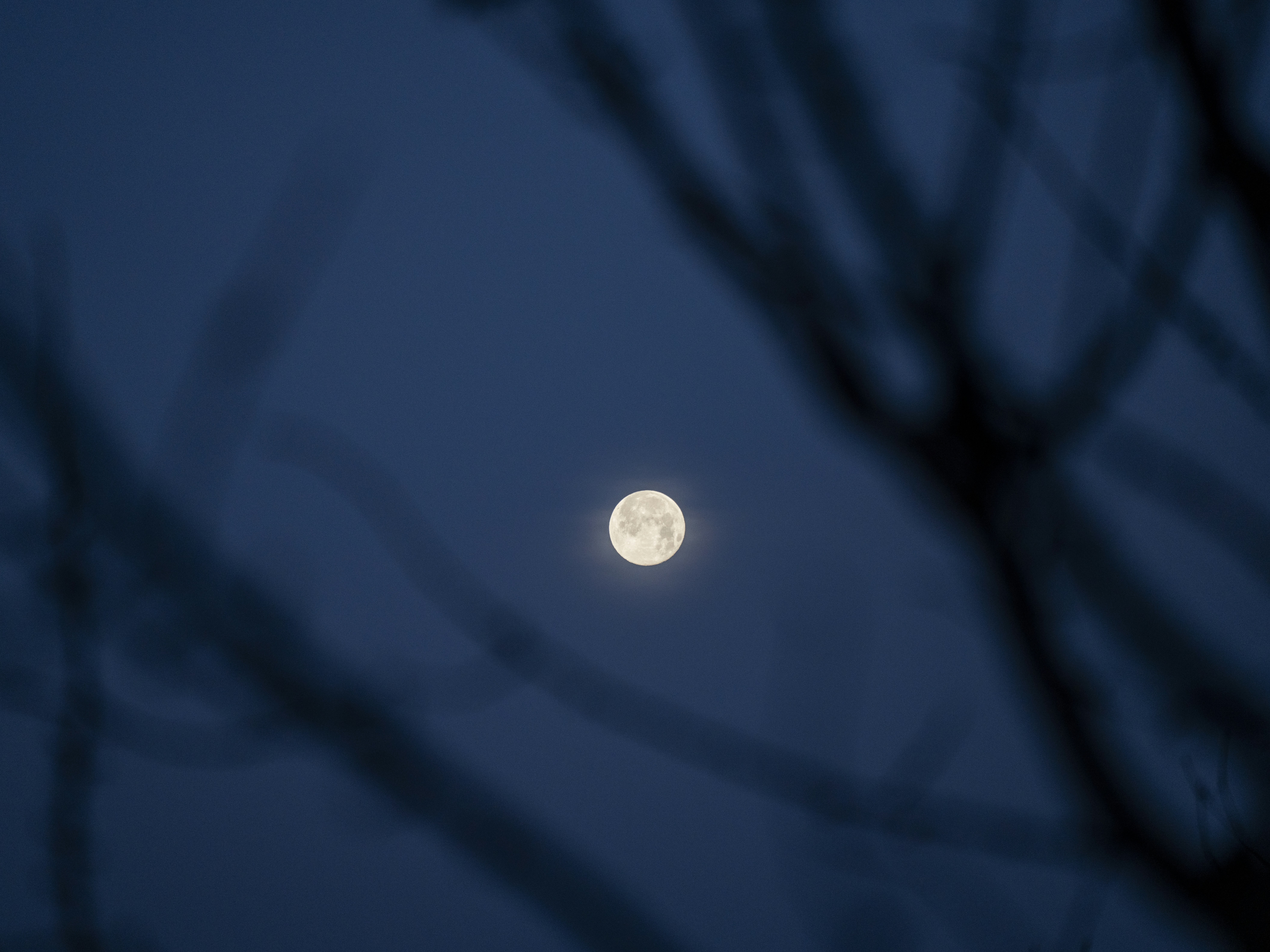 Photo by hendrikmorkel