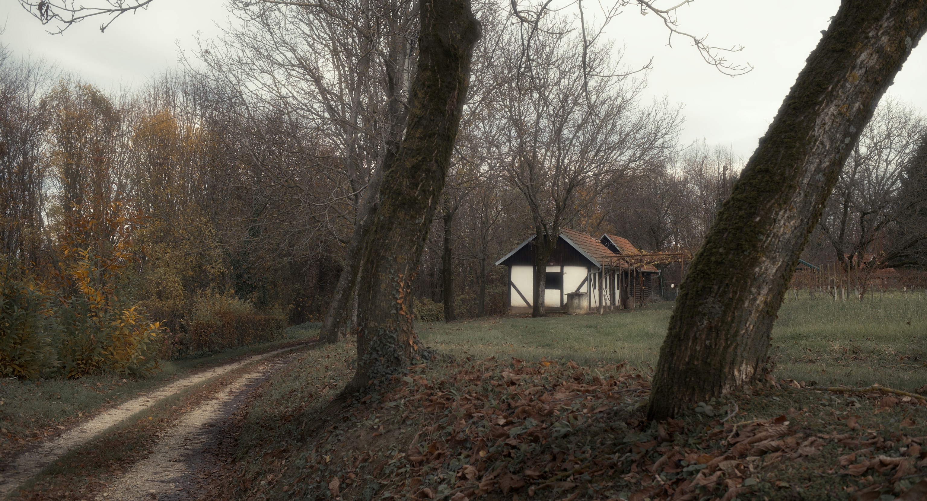 An old house sits beside a dirt road in autumn.