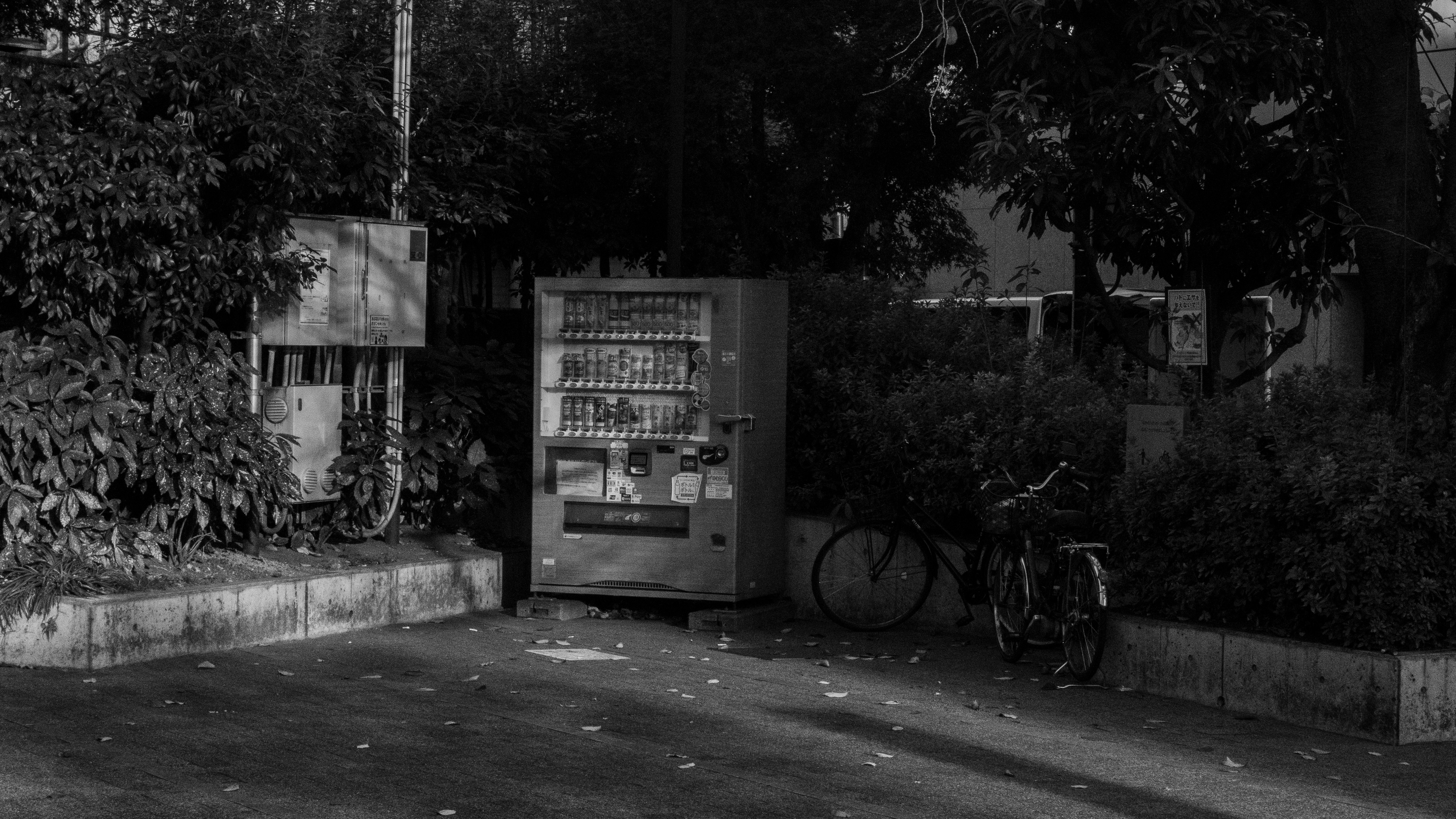 Photo by diegomattevi