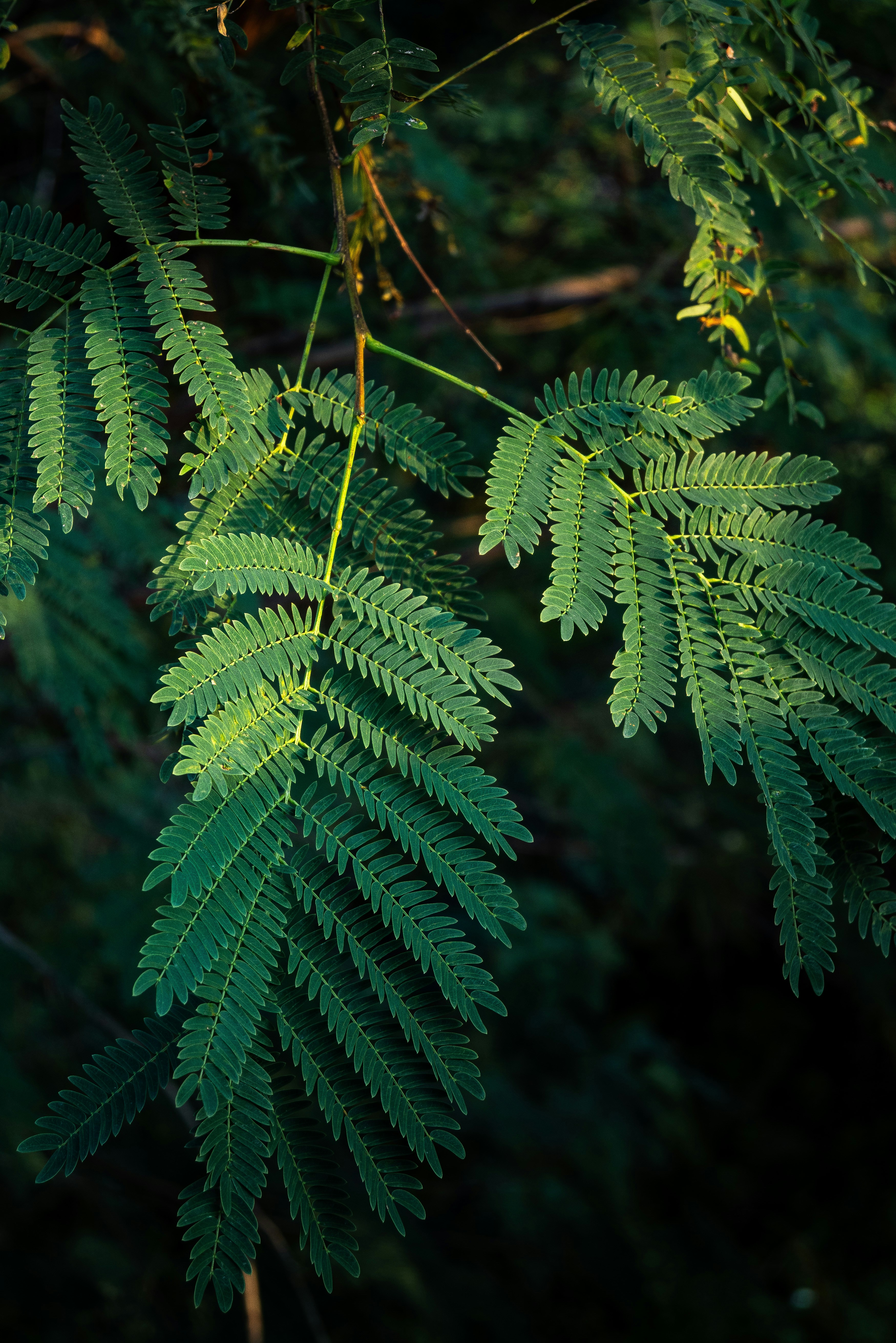 Photo by 1989folklore