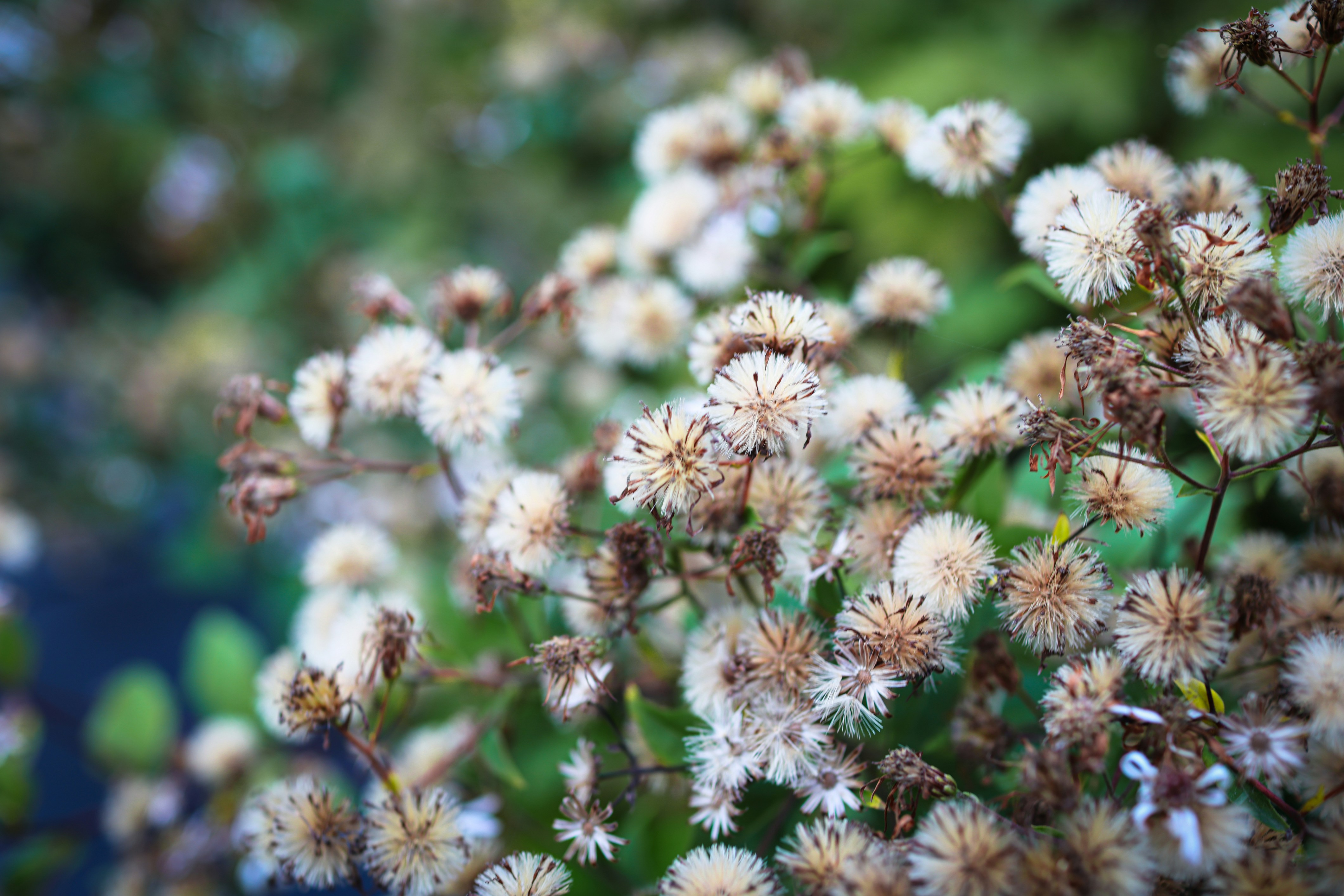 Photo by i_am_vitality