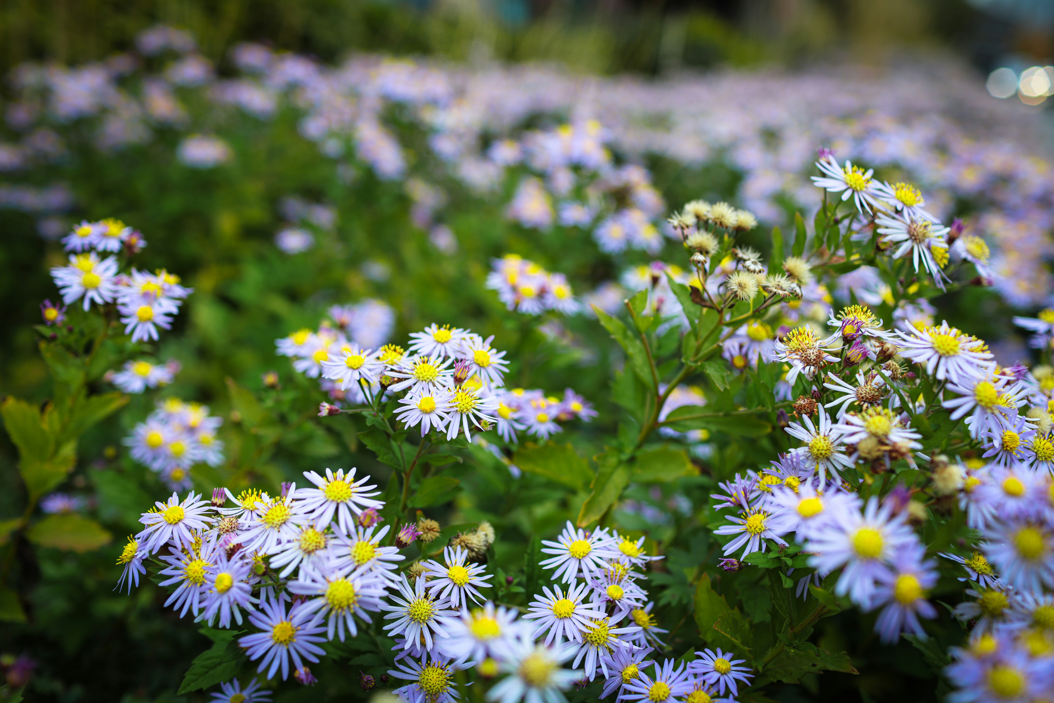 Photo by i_am_vitality