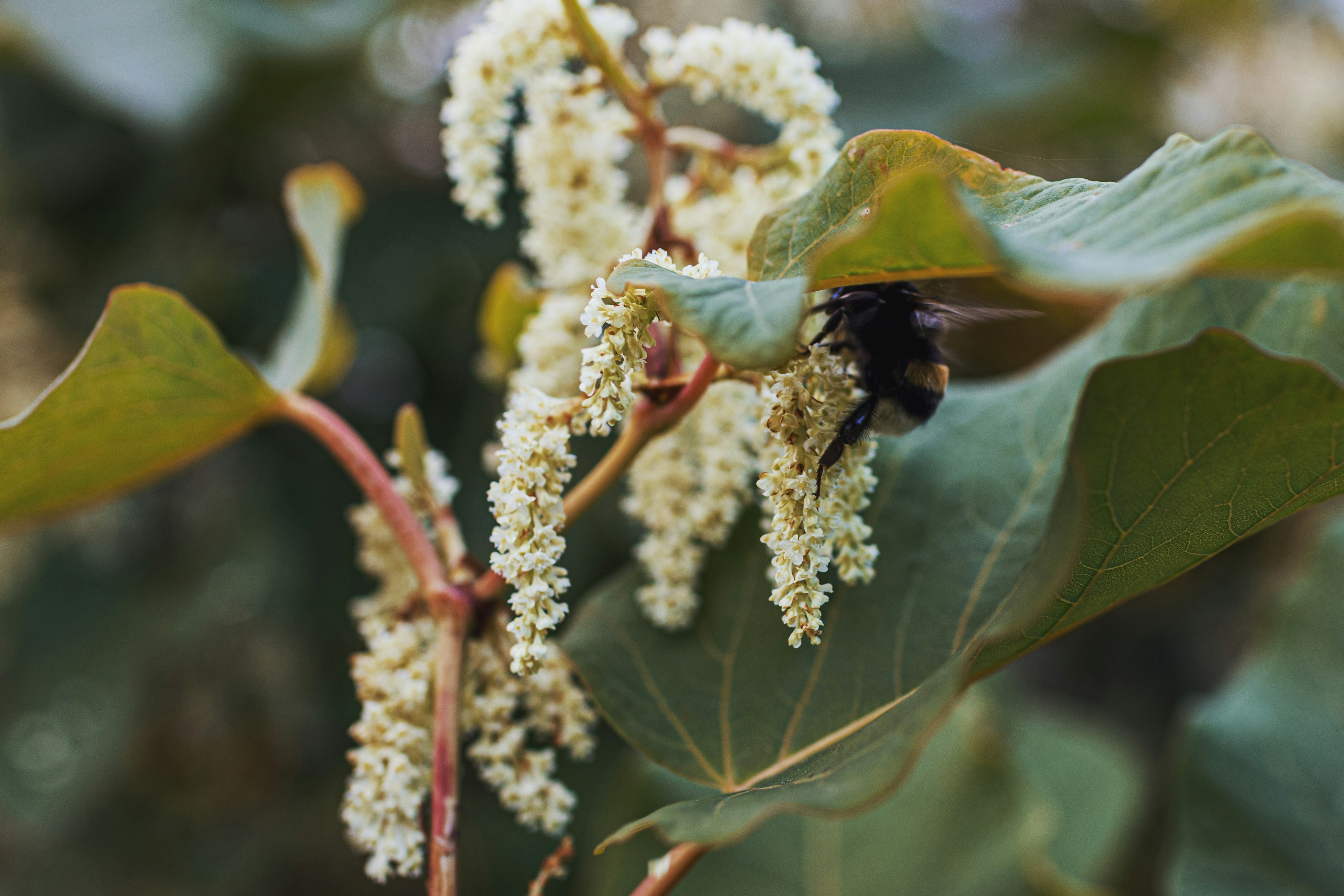 Photo by i_am_vitality