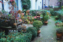 A lush garden path with potted plants and bench.