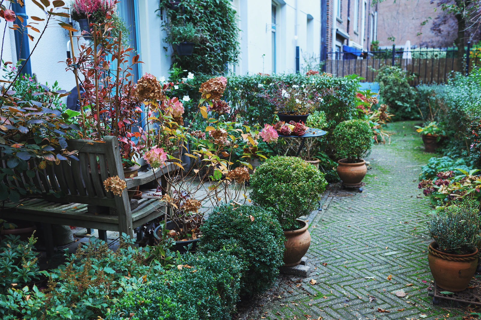 Compact courtyard garden with layered pots and shrubs