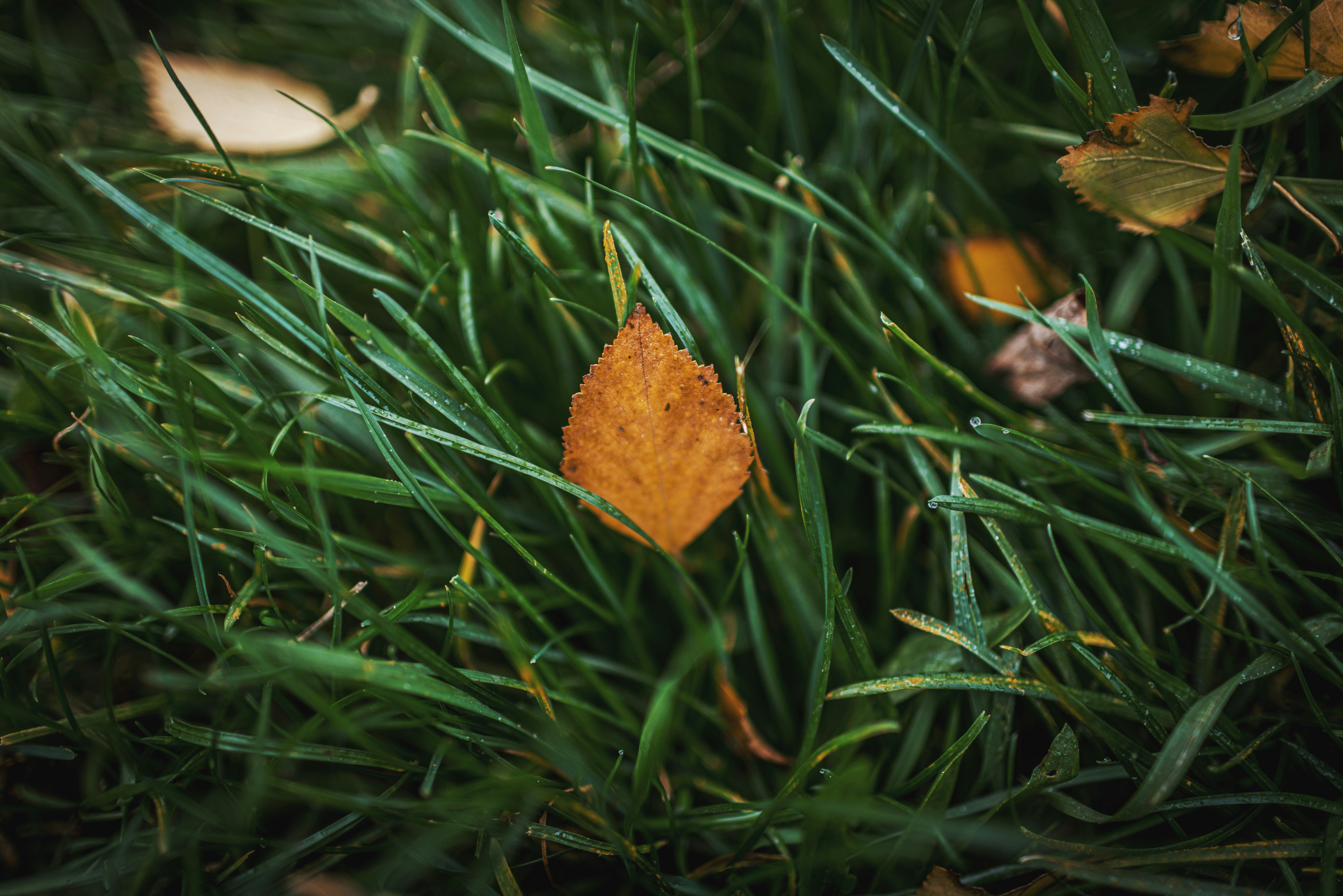 Photo by i_am_vitality