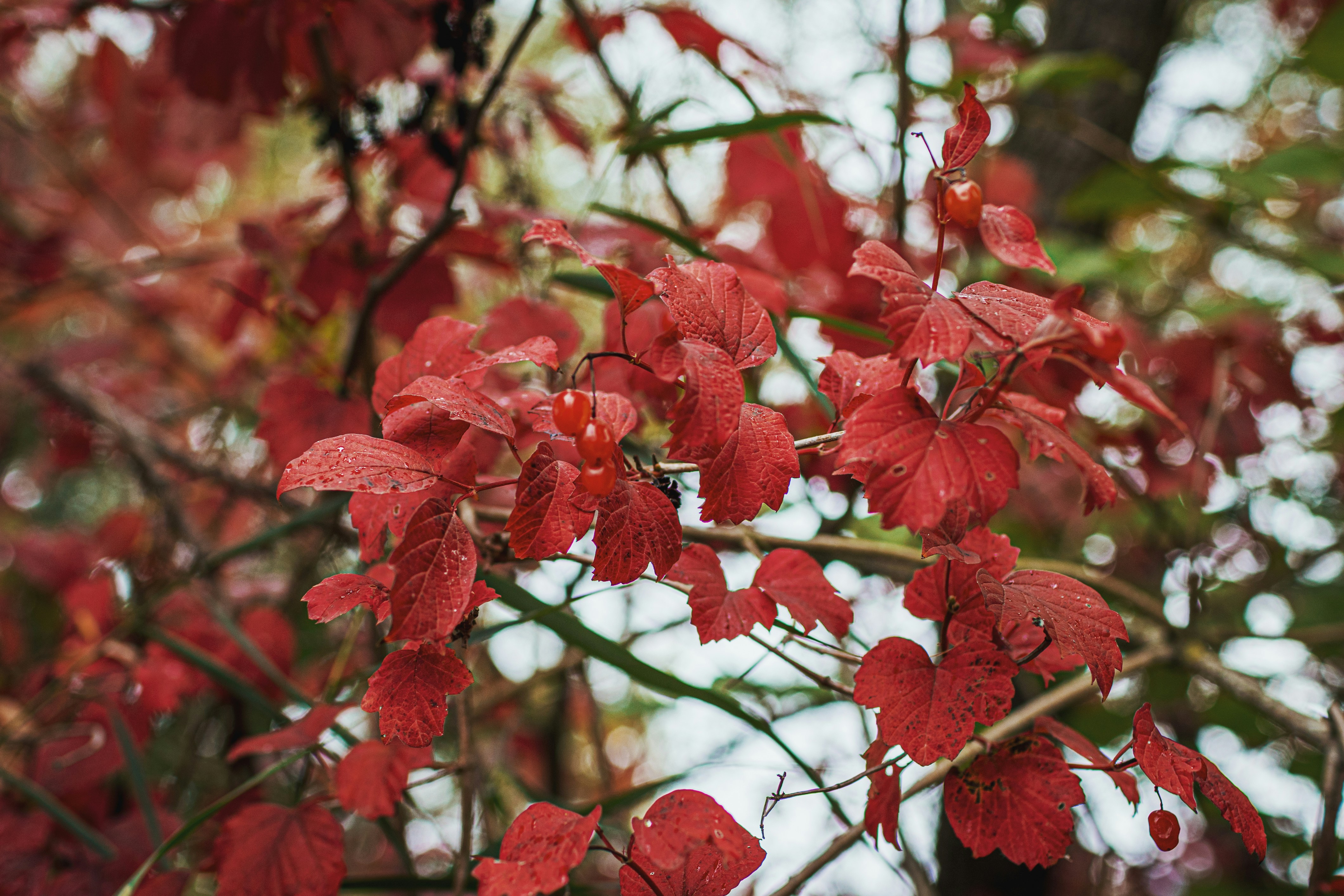 Photo by i_am_vitality