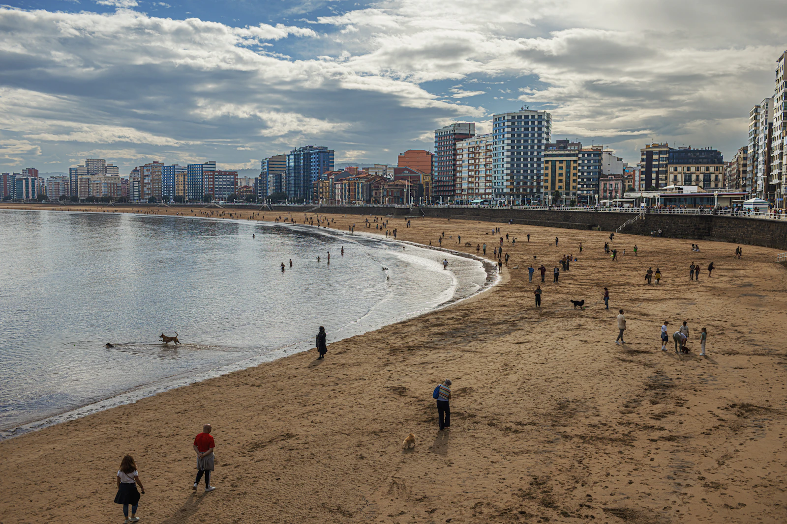 Ocean Beach | Dog Beach