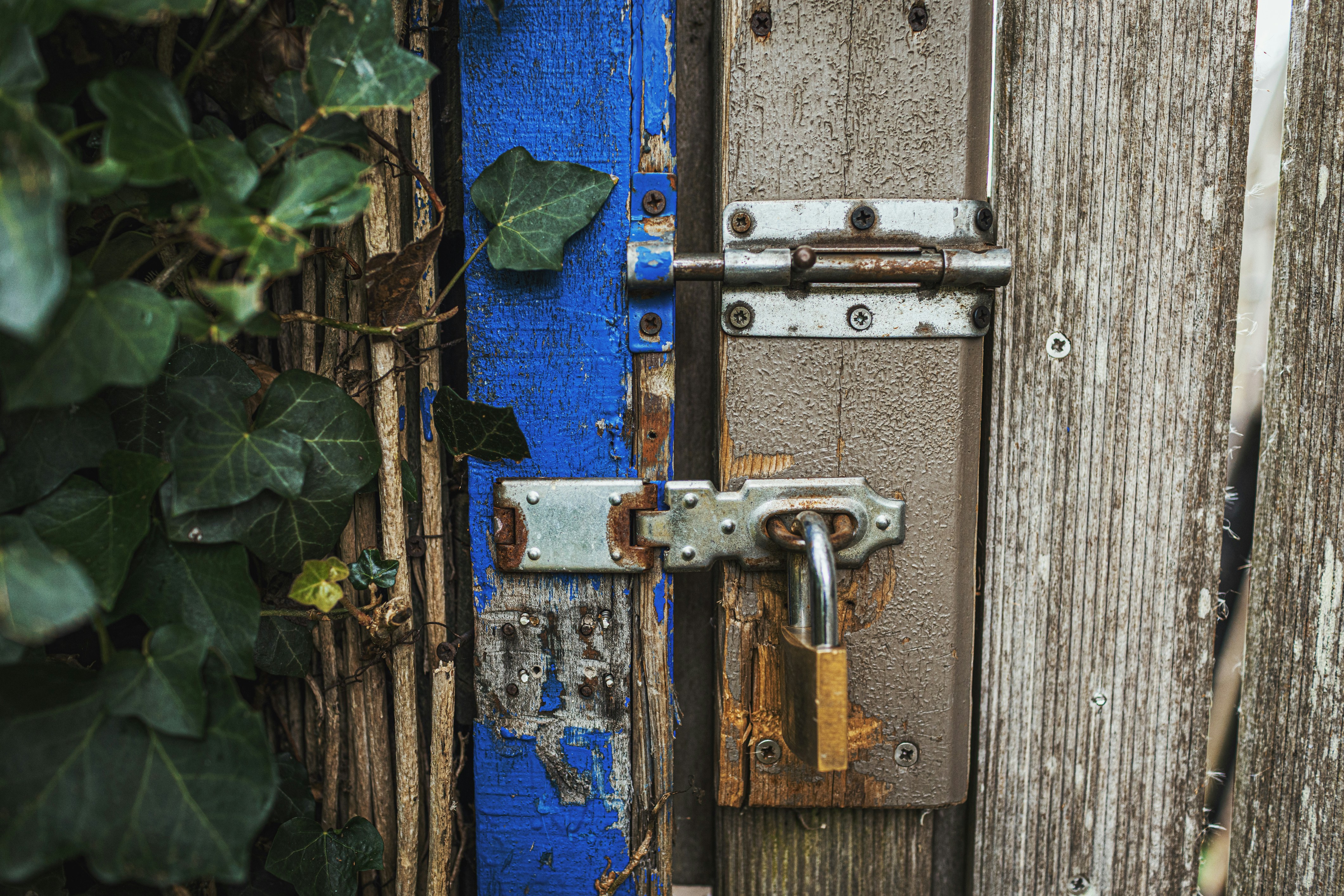 Photo by i_am_vitality