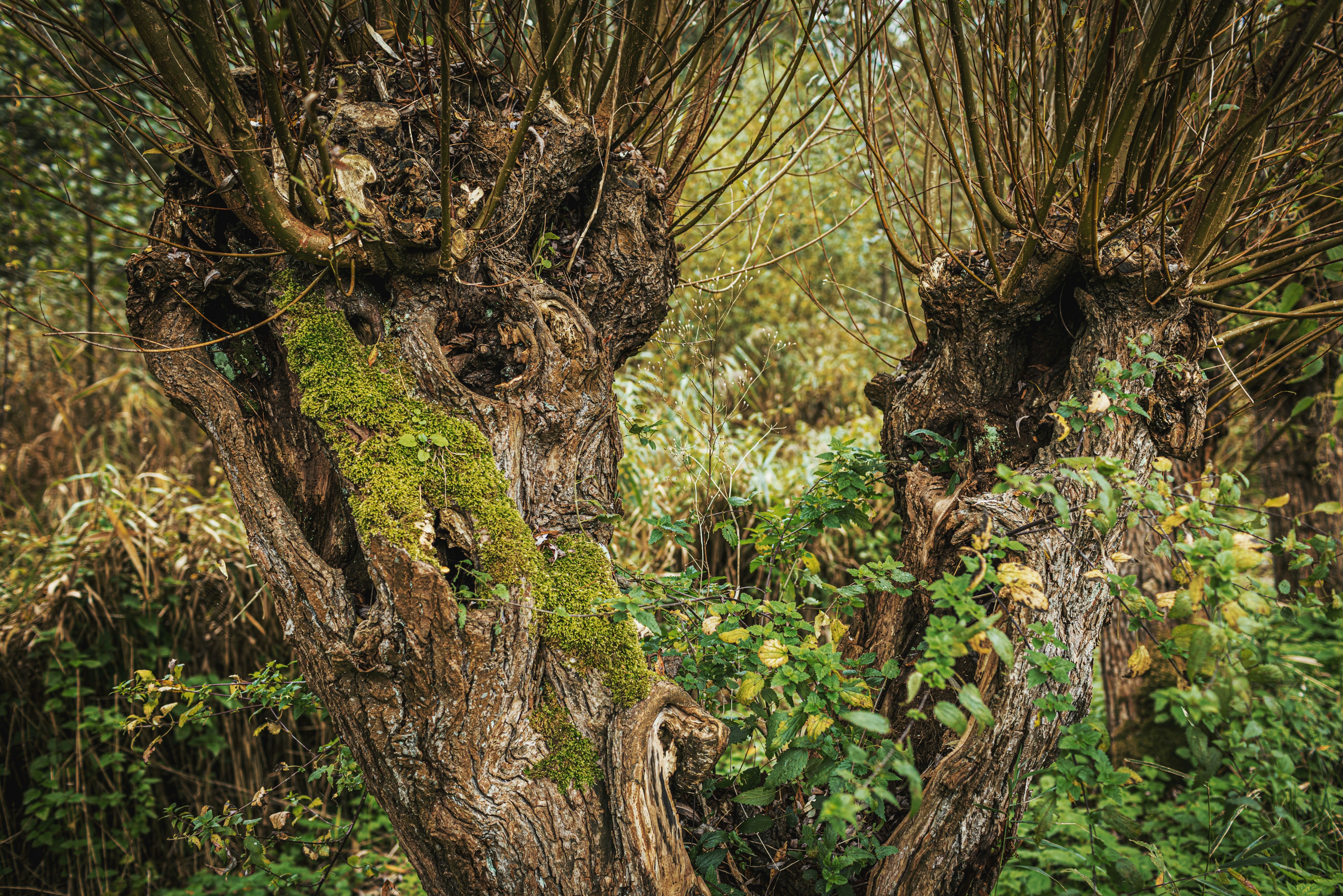 Photo by i_am_vitality