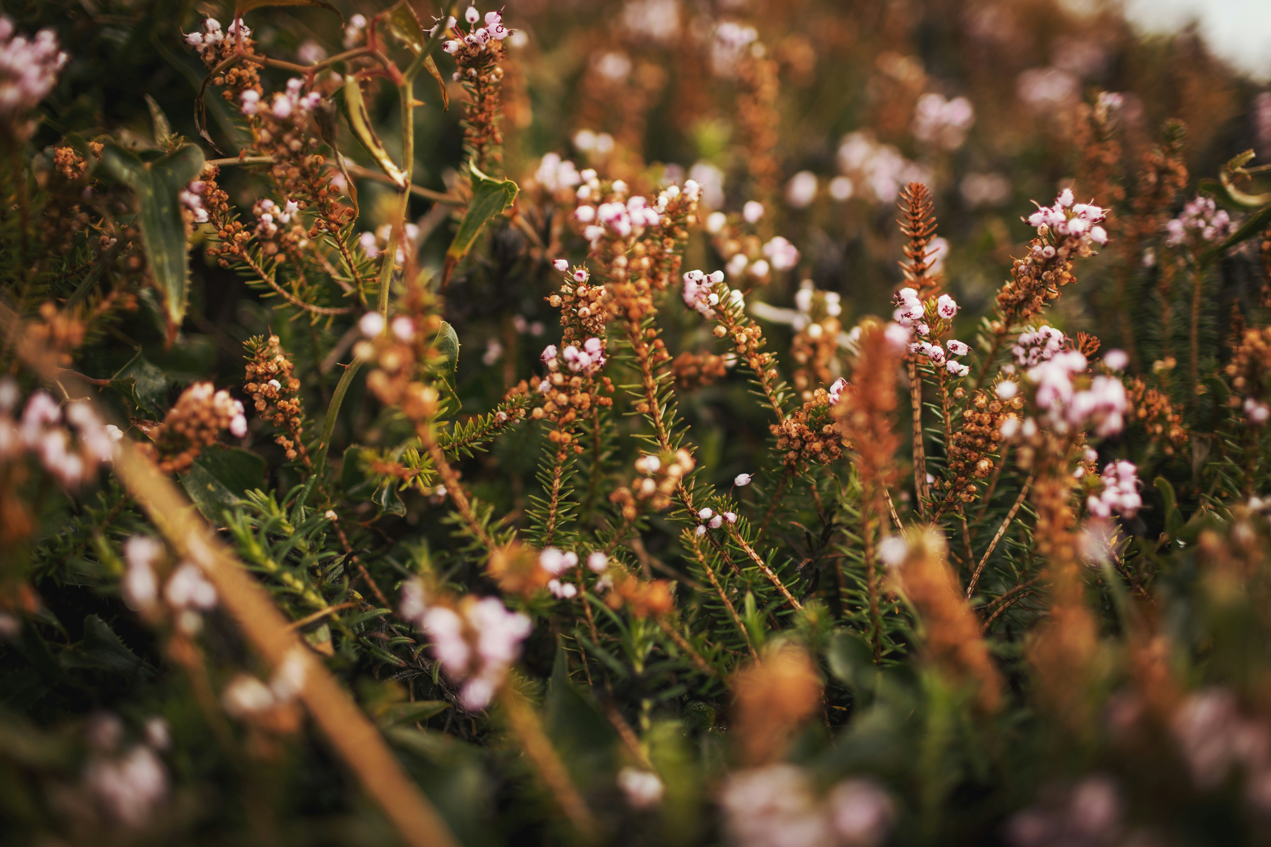 Photo by i_am_vitality