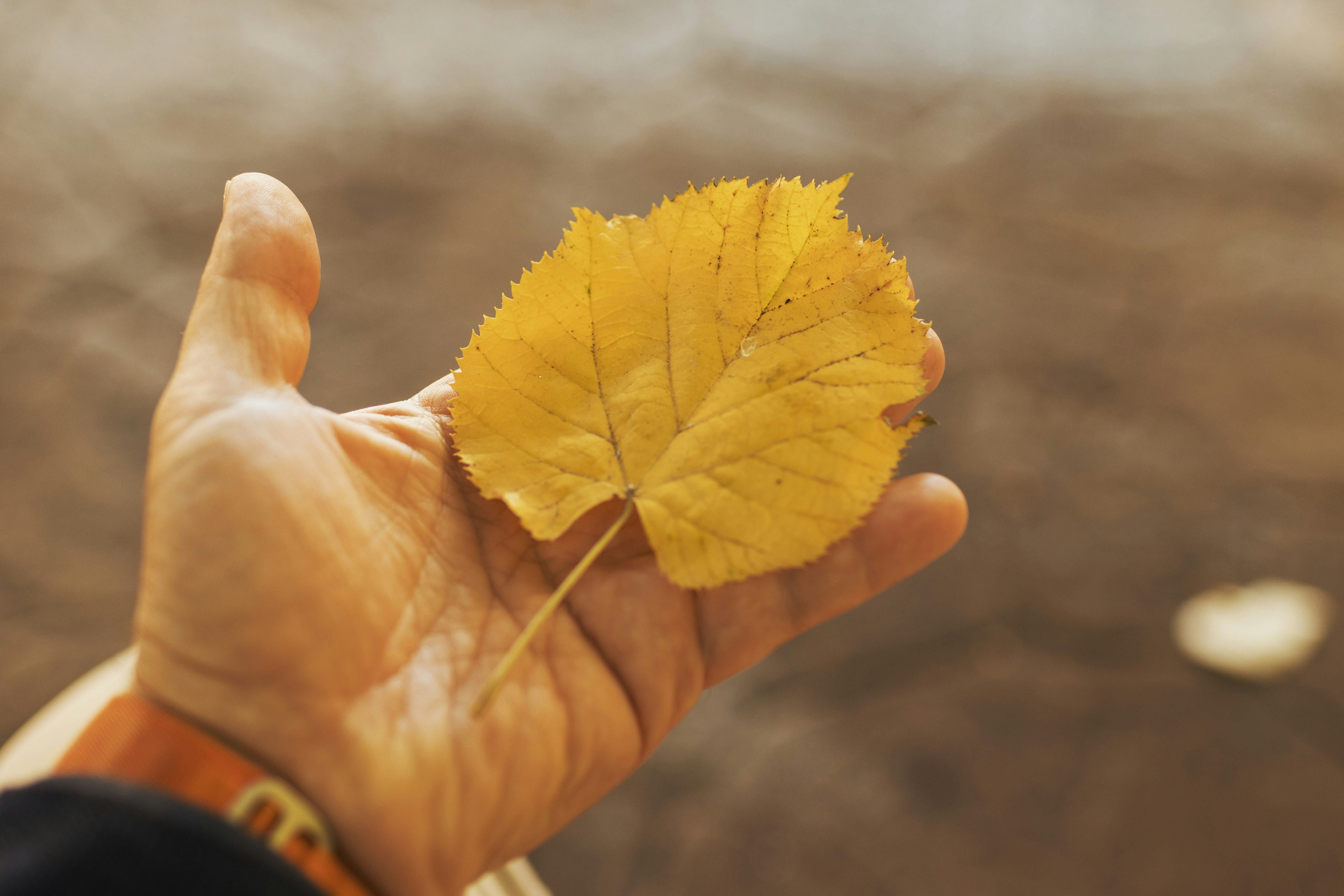 Photo by i_am_vitality