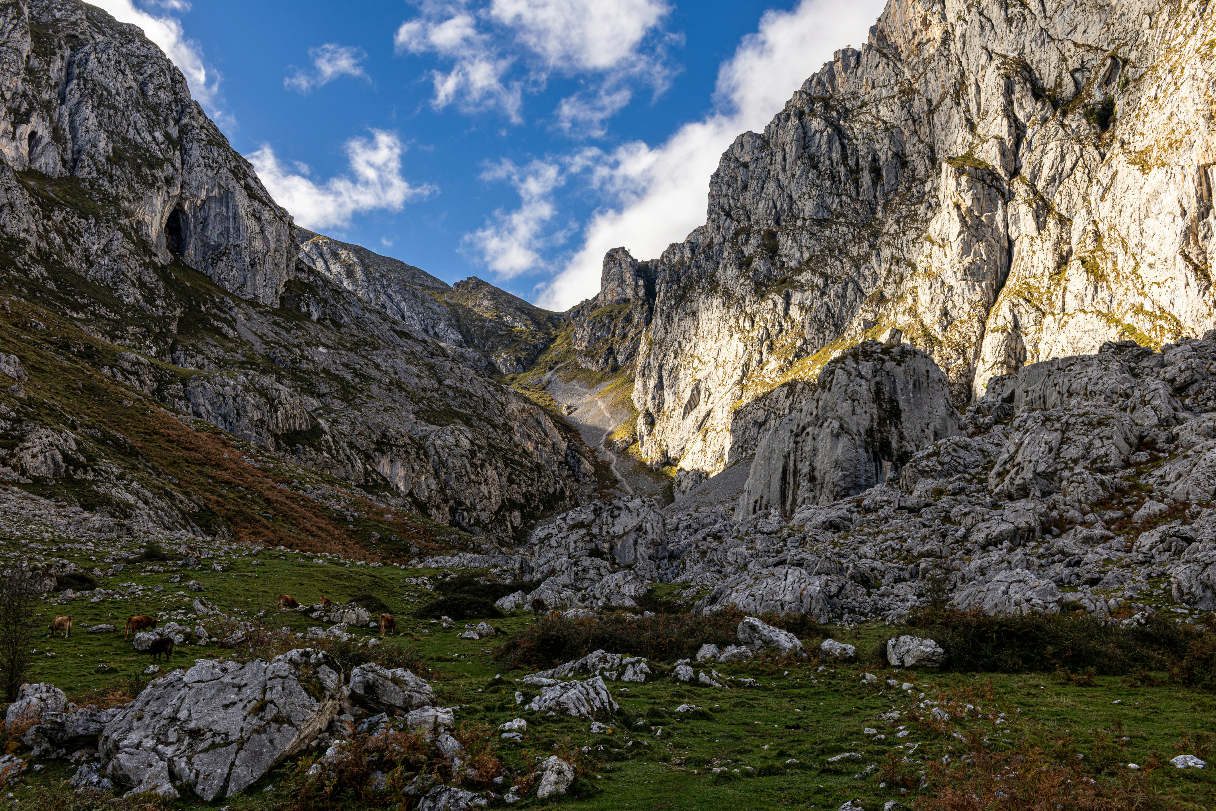 Photo by i_am_vitality