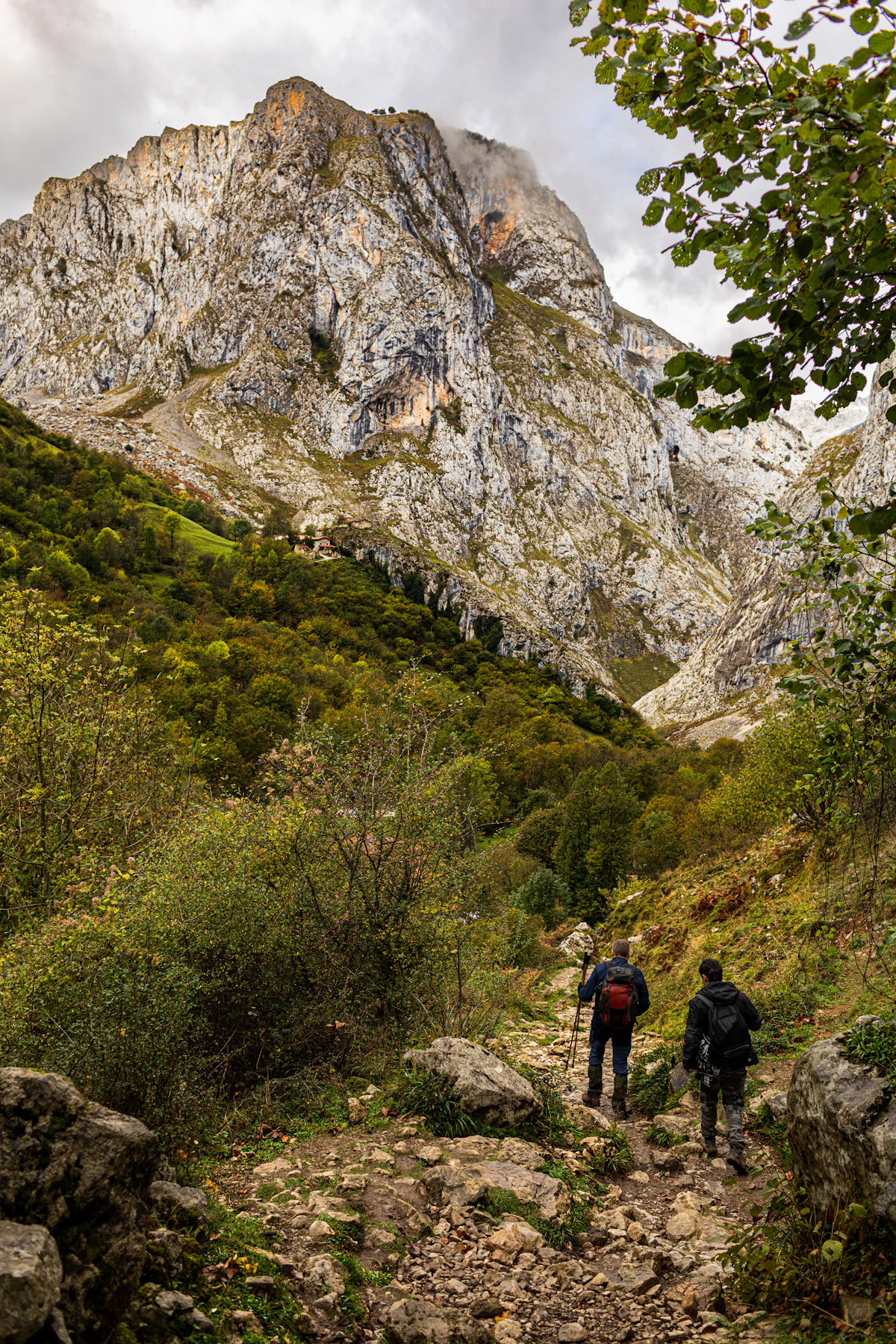 Picos de Europa