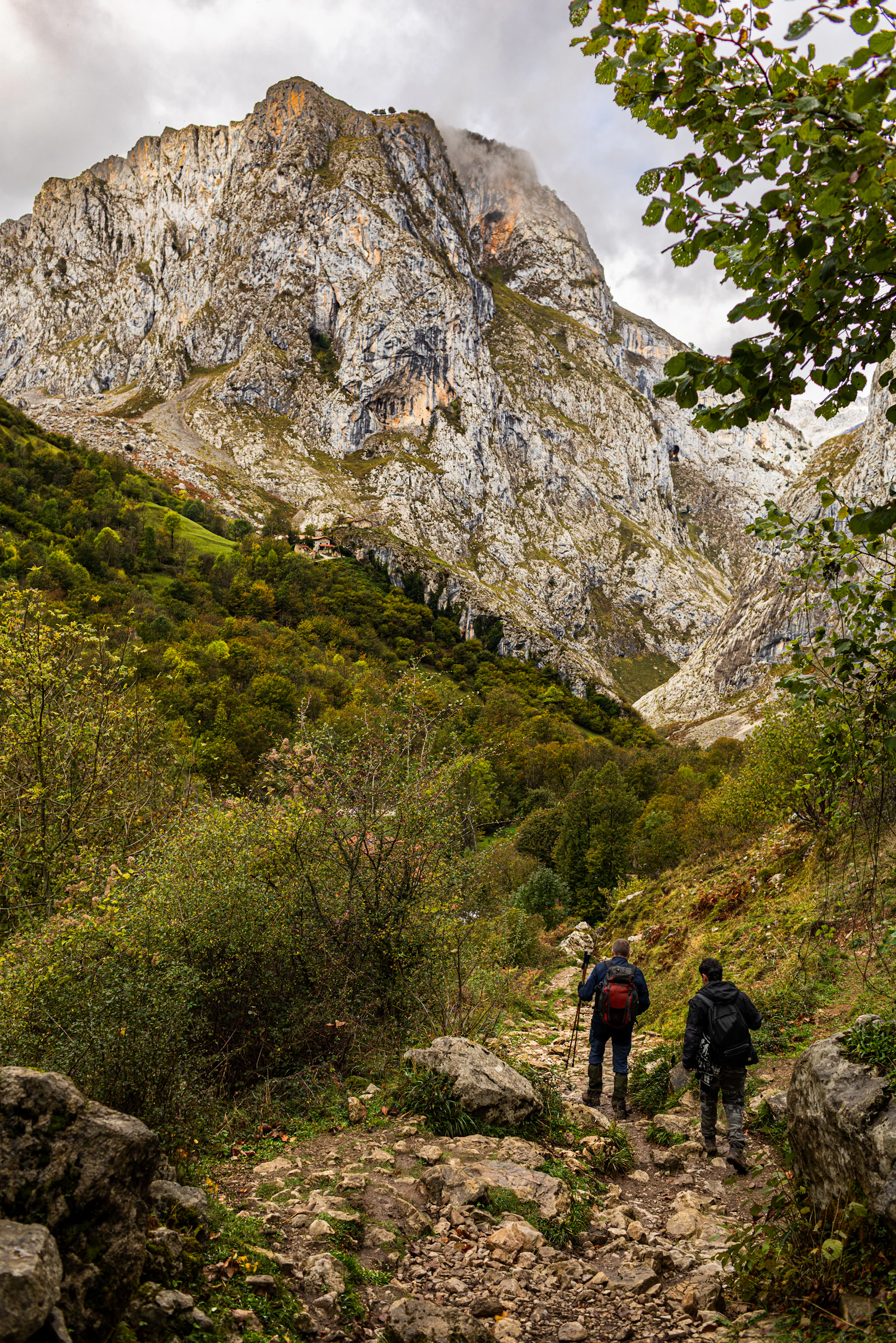 Montaña y sendero