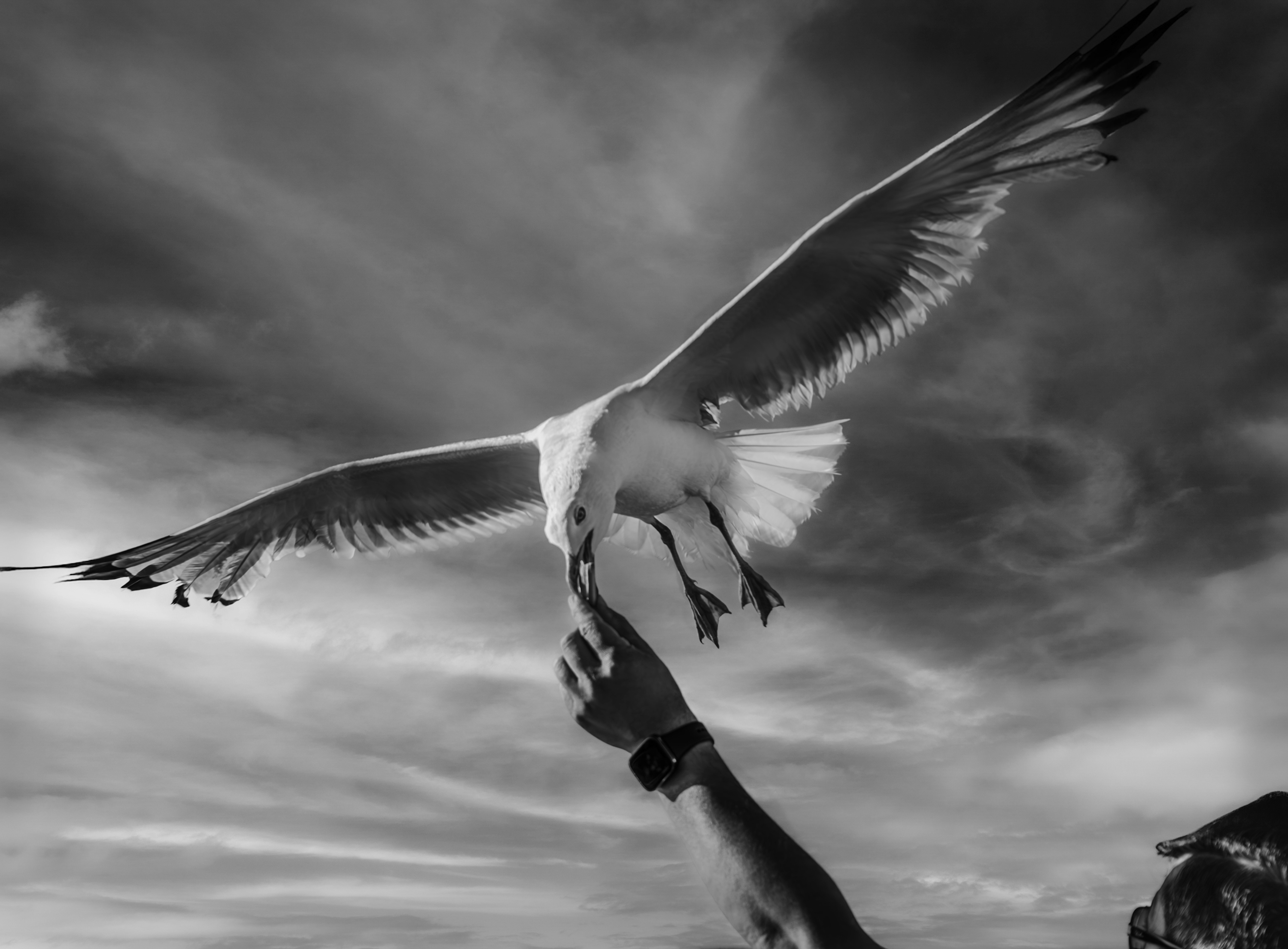 Photo by graphis_photos