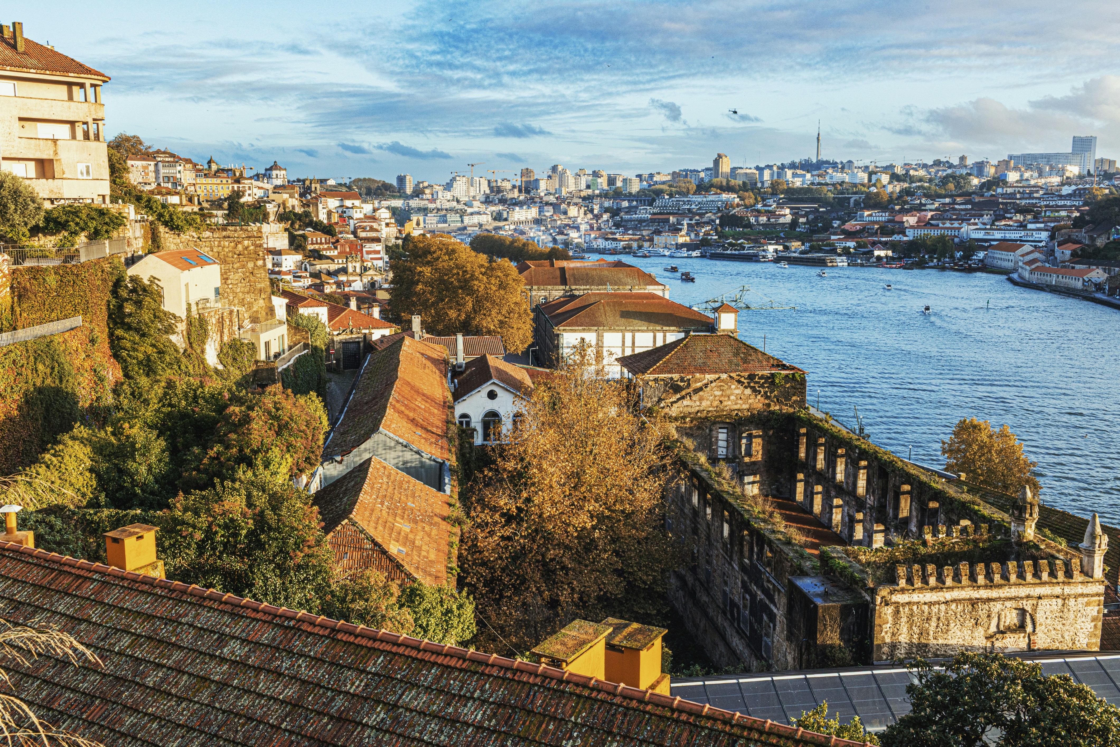 Photo by i_am_vitality