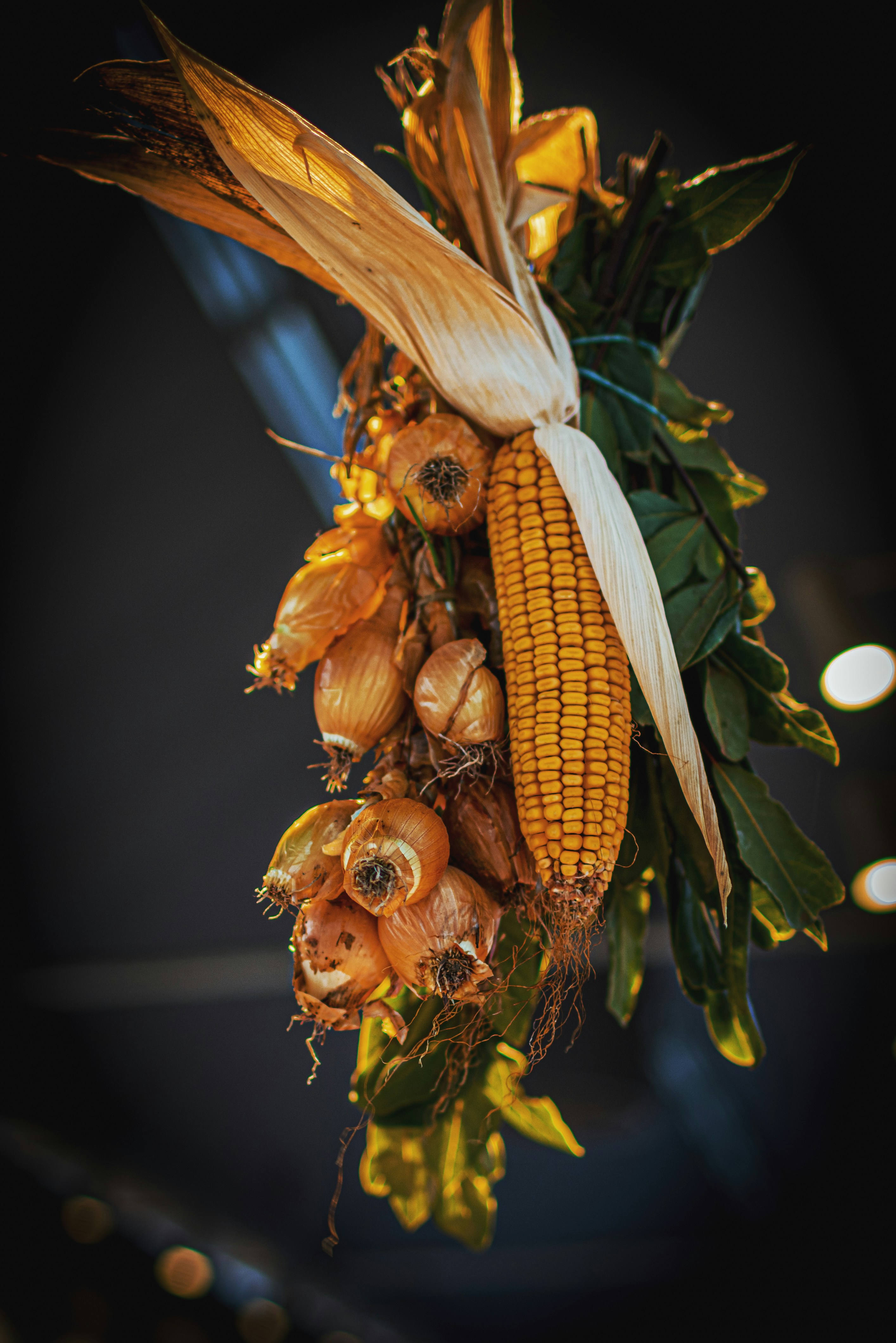 Mais und Zwiebeln, die zusammen mit getrockneten Blättern hängen